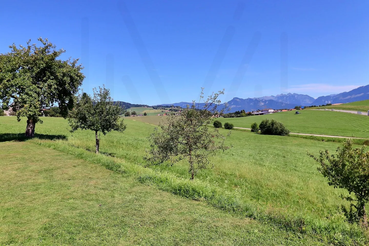 Appartamento in affitto - Foto 2 di 10