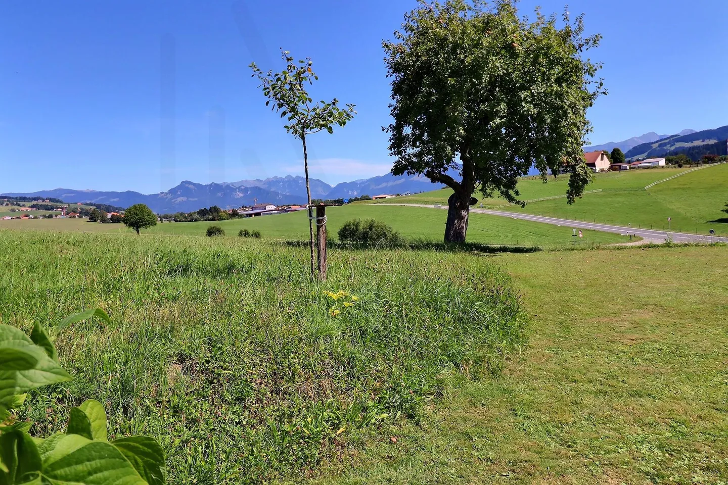 Appartamento in affitto - Foto 10 di 10