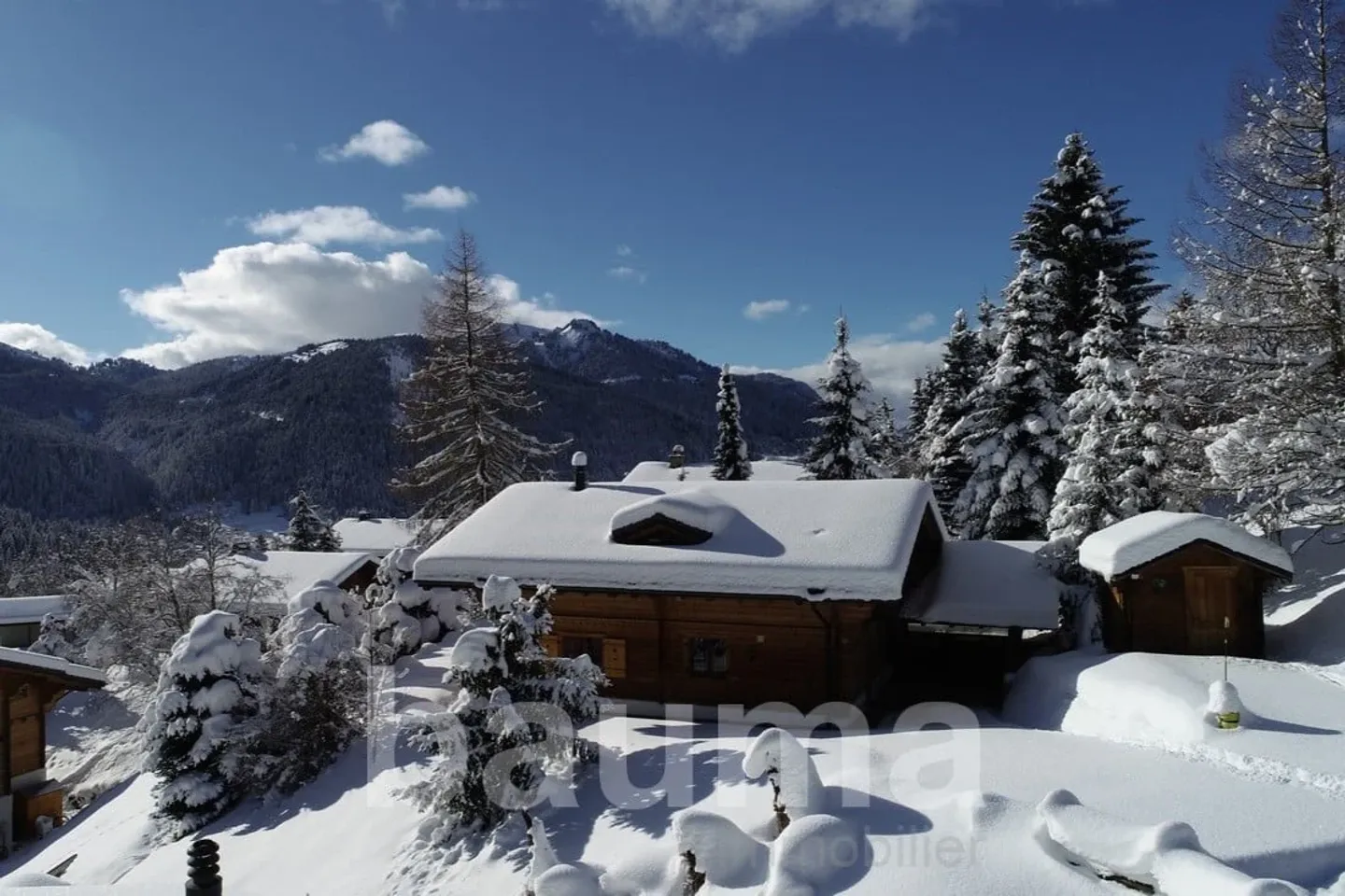 Chalet Remifacy - Foto 1 von 13