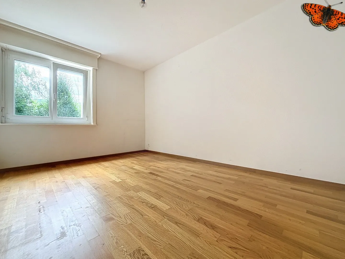 Charming Apartment in Quiet Area - Photo 3 of 6