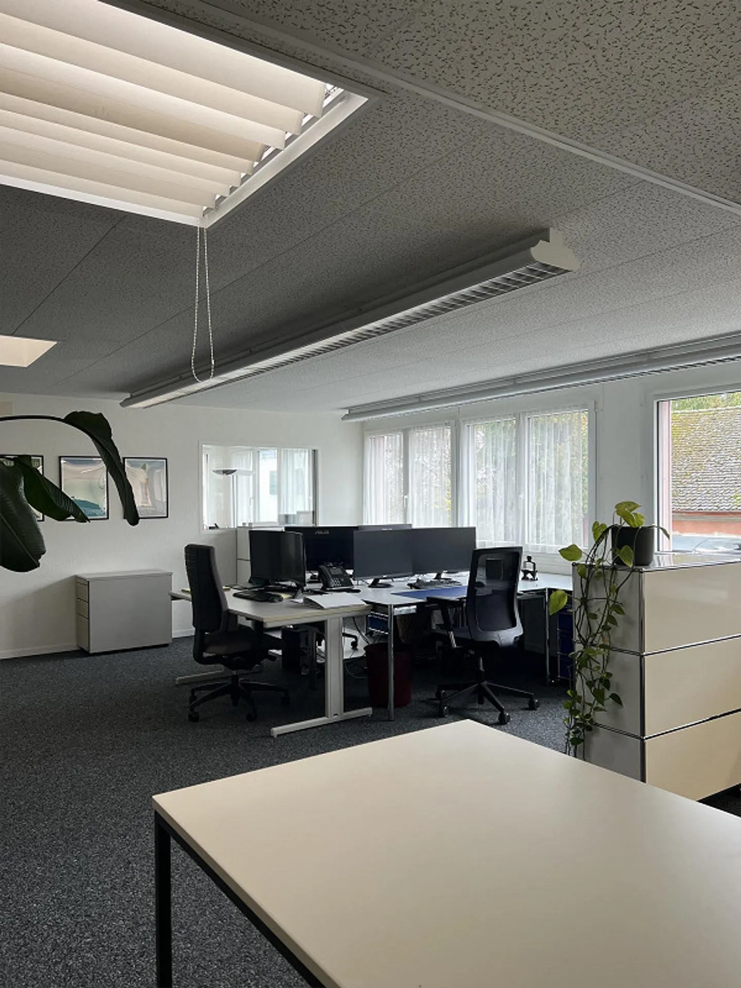 Office space in Schaffhausen agglomeration - Photo 8 of 11