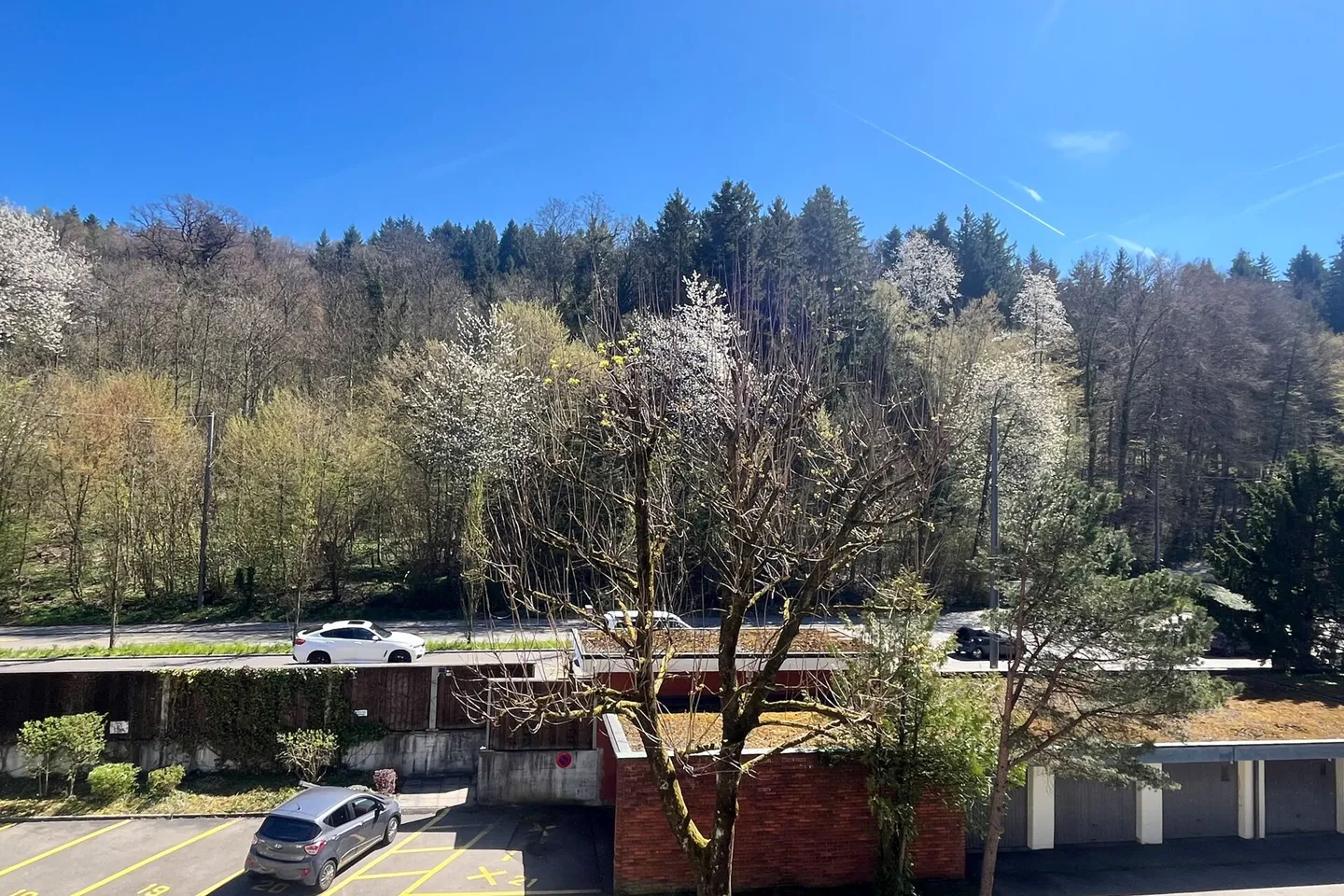 Appartamento con balcone e vista sul verde vicino al Dättwiler Weiher - Foto 11 di 11