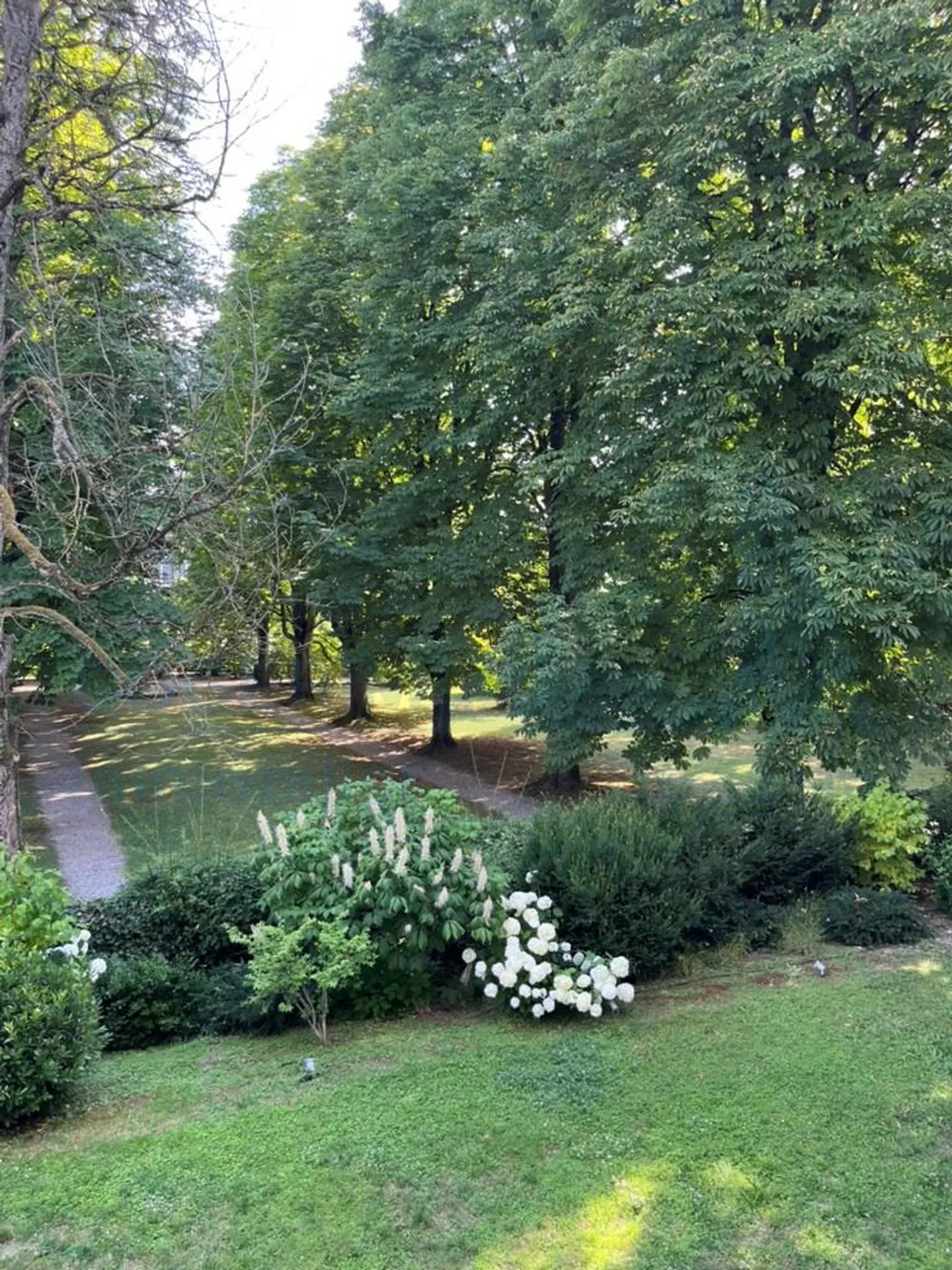 Appartamento 7 stanze - Foto 11 di 13