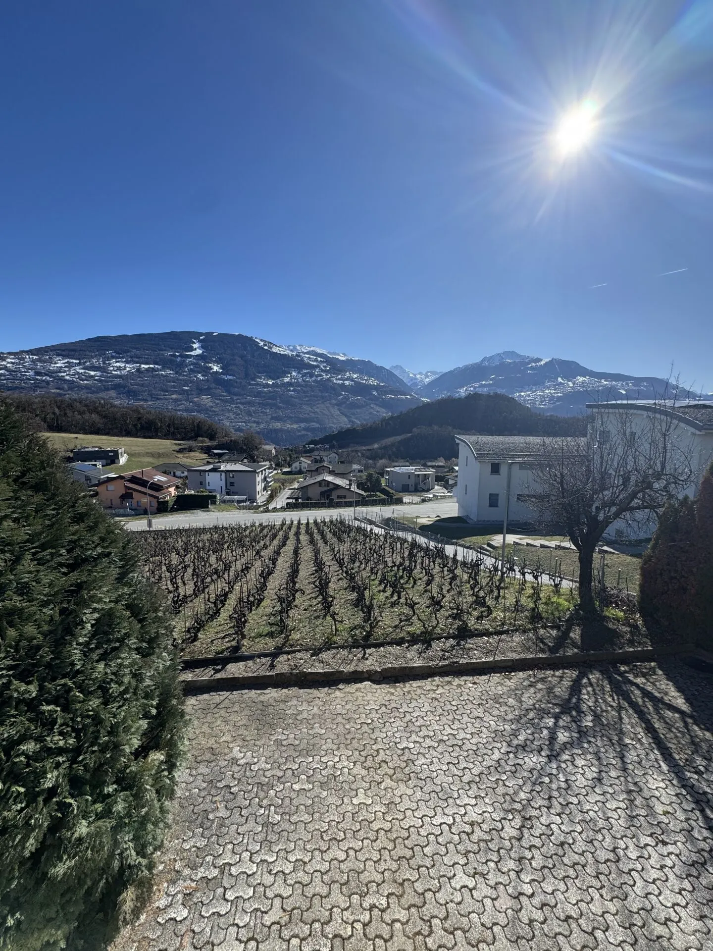 Villa Diolly - Foto 7 von 27