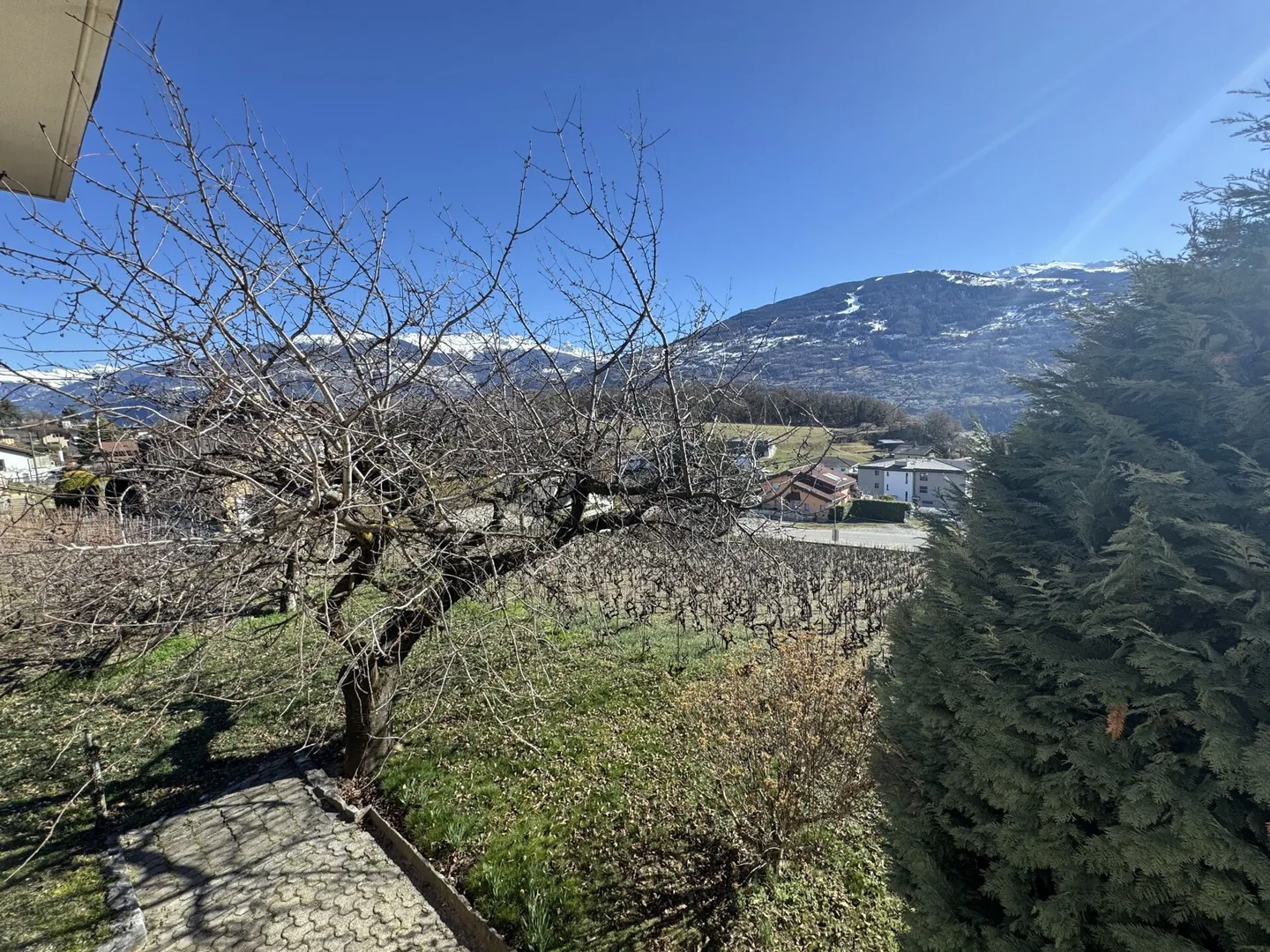 Villa Diolly - Foto 8 von 27