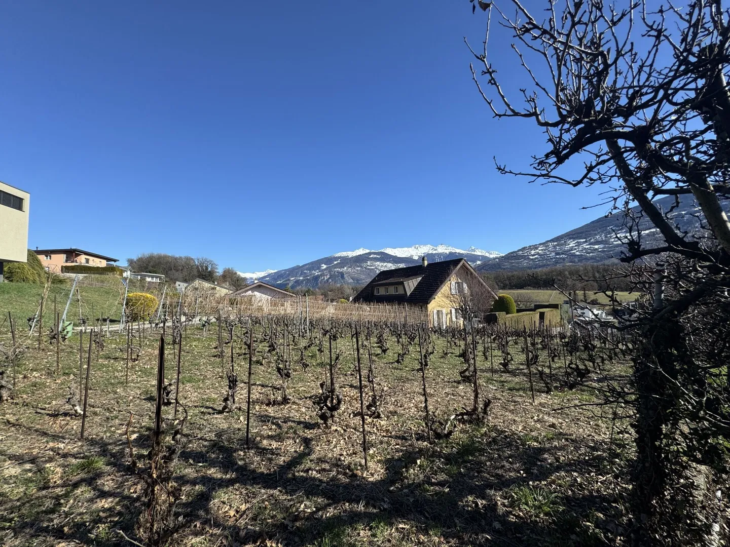 Villa Diolly - Foto 9 von 27