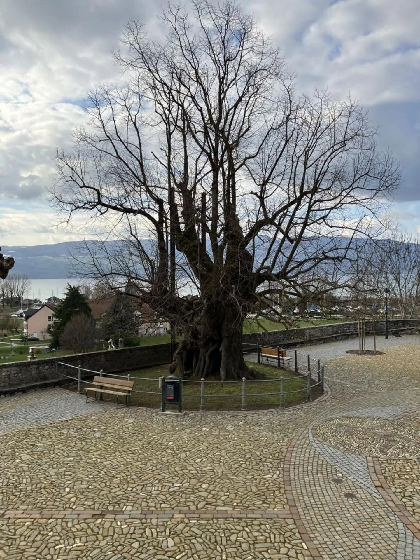 Renovated 2.5-room apartment in Estavayer-le-Lac - Photo 13 of 13