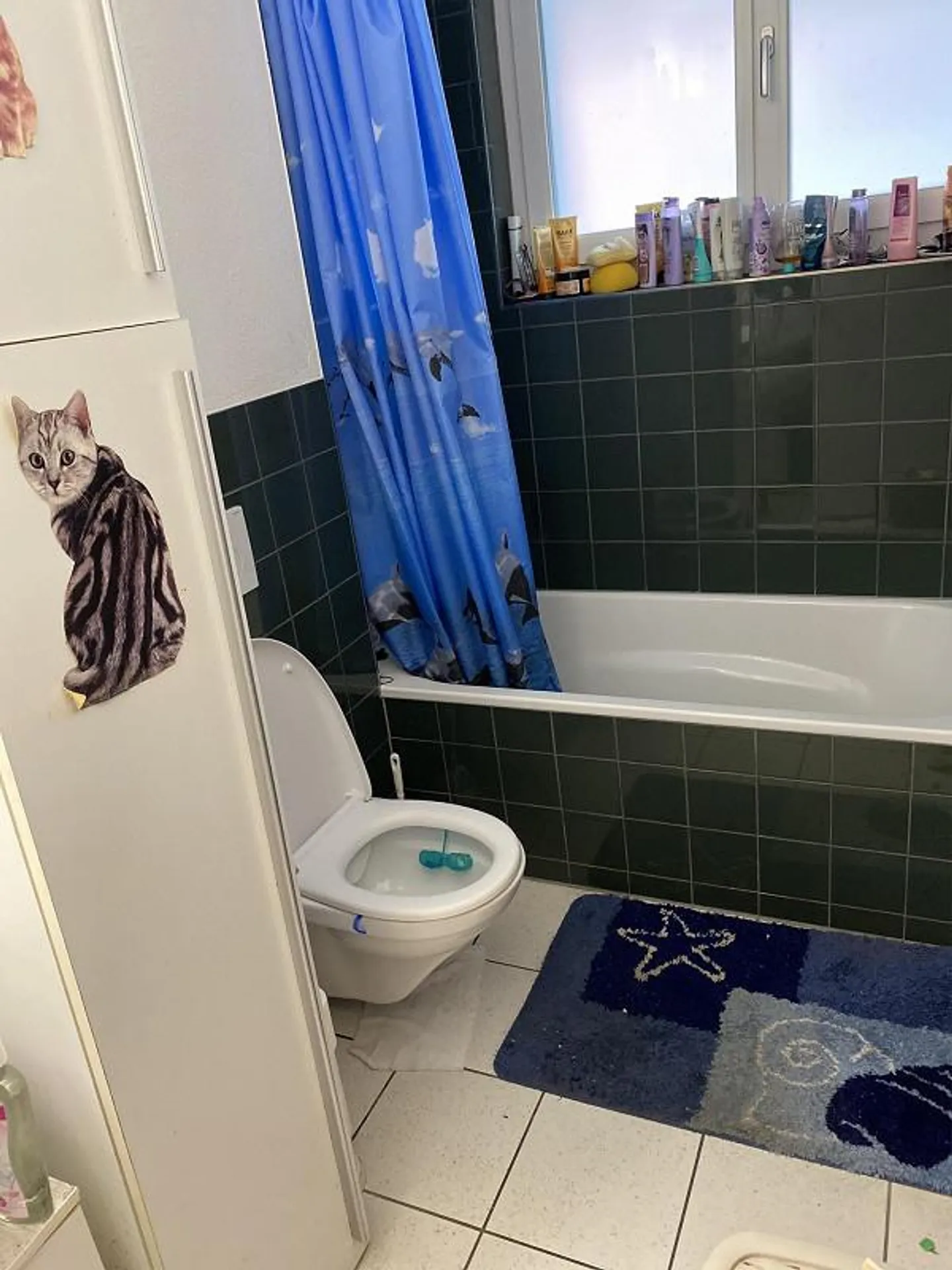 Subaffittuario - Foto 5 di 6