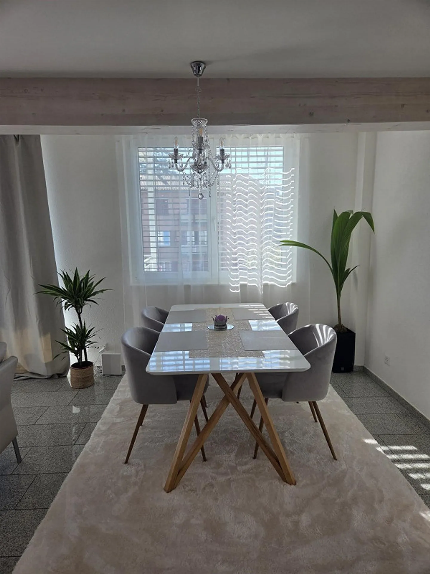 Apartment with large terrace in central location - Photo 5 of 8