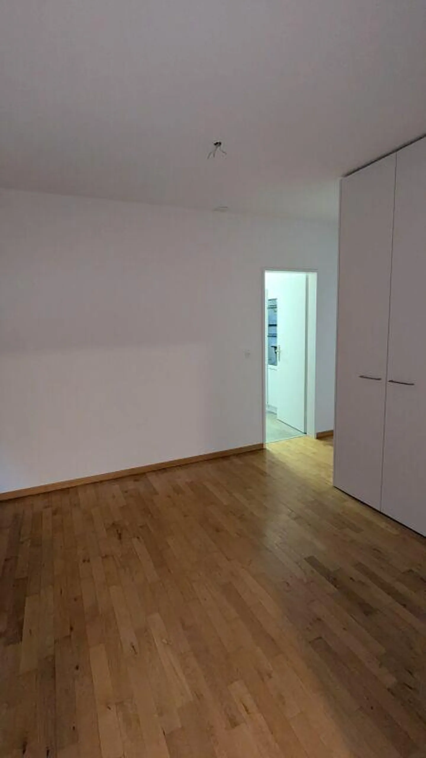 4.5-Zimmerwohnung im ruhigen und naturnahen Rosenbergquartier - Foto 7 von 11