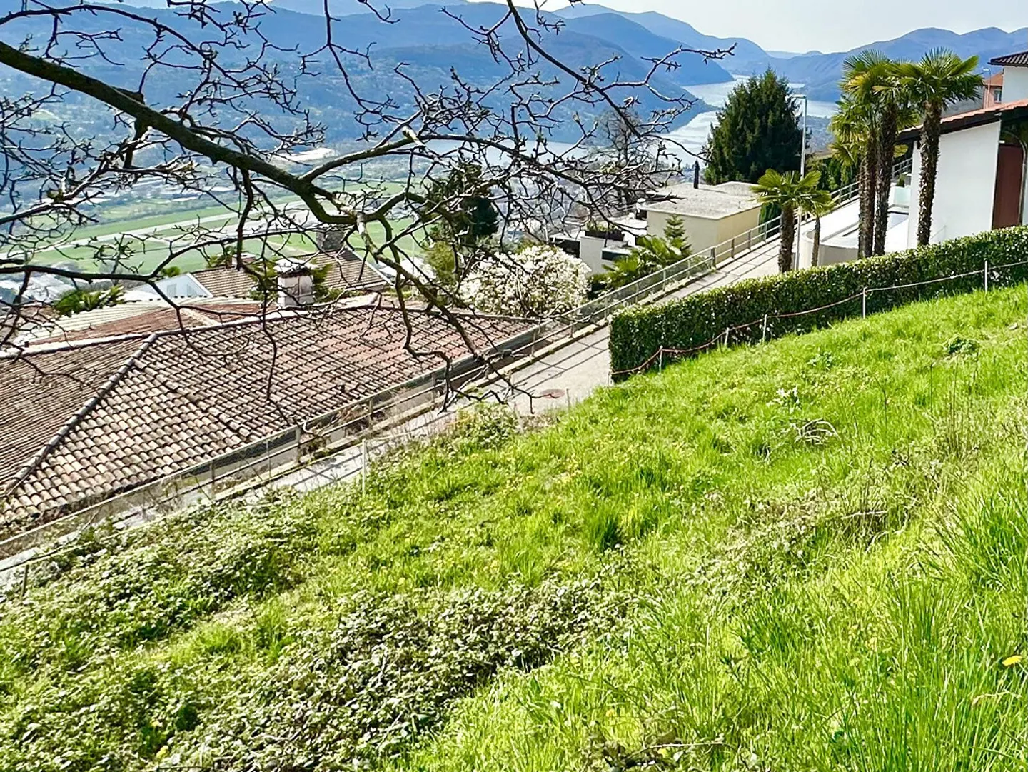 Terreno edificabile a Cademario - Foto 2 di 4
