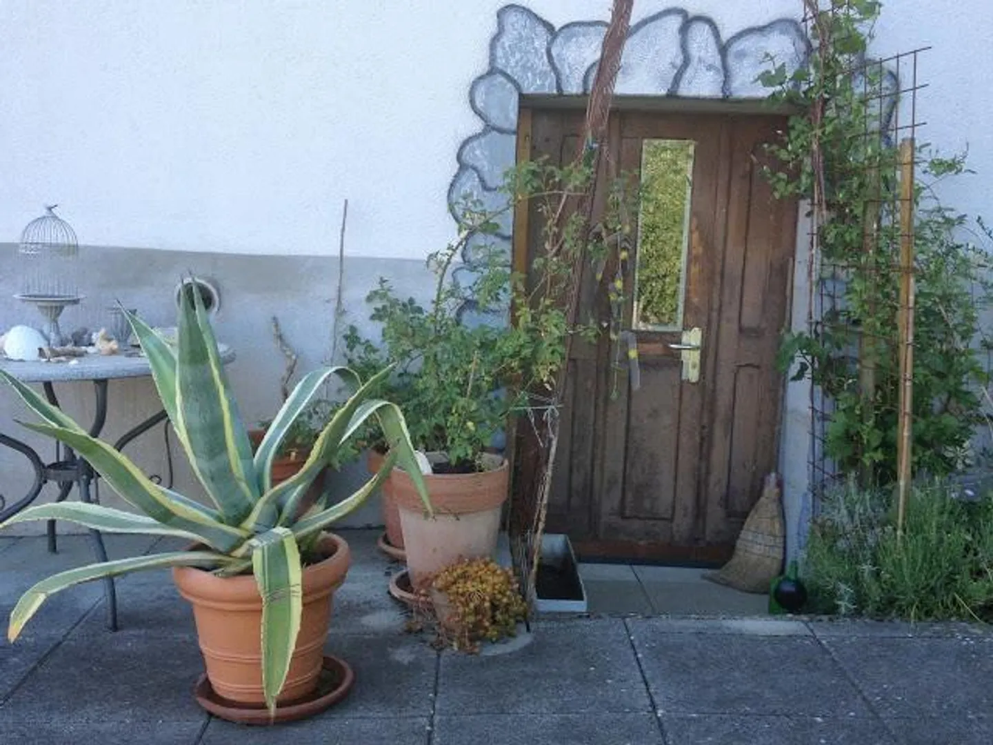 Carino appartamento giardino arredato di 1,5 stanze - Foto 9 di 10