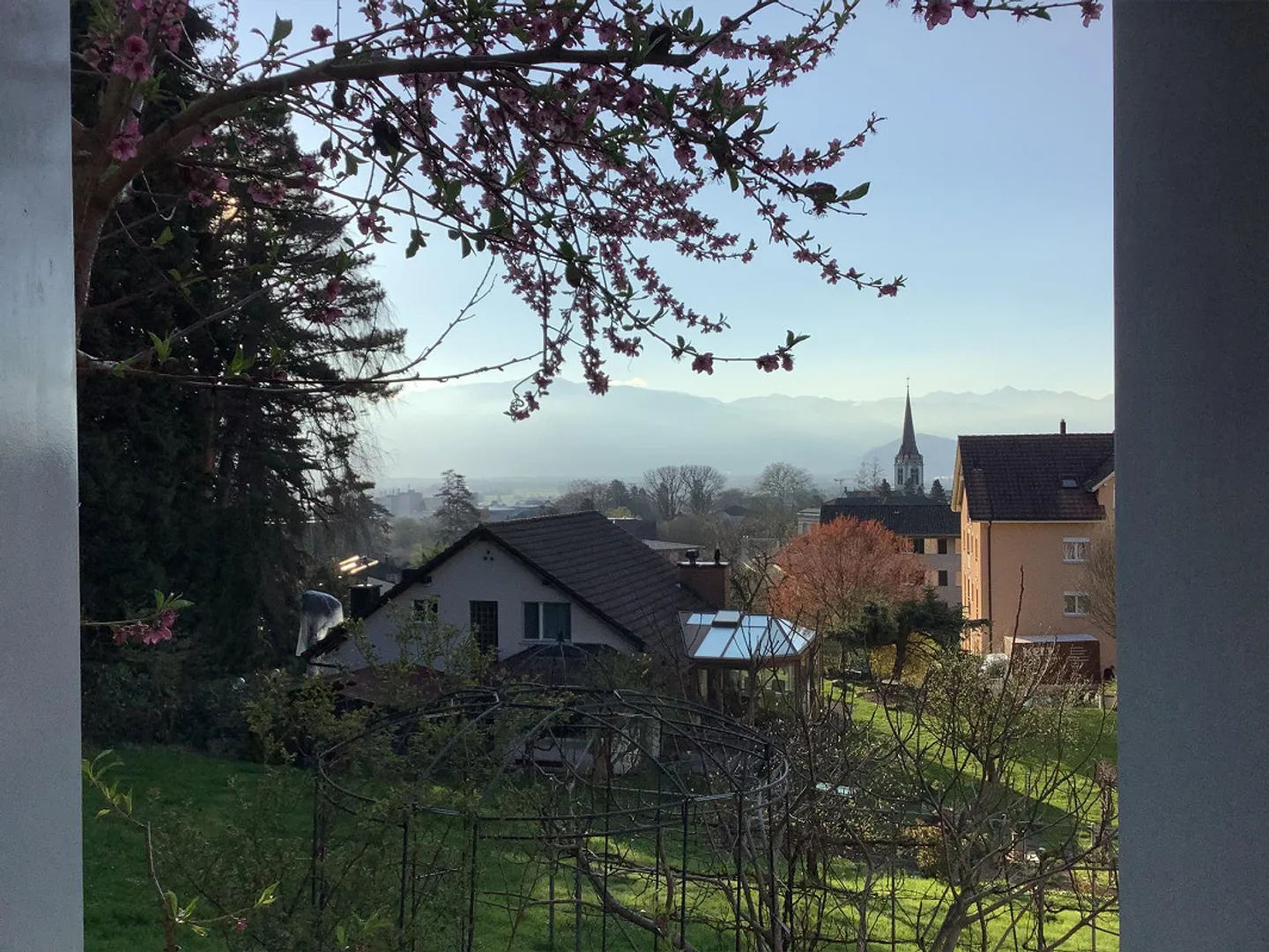 Carino appartamento giardino arredato di 1,5 stanze - Foto 10 di 10