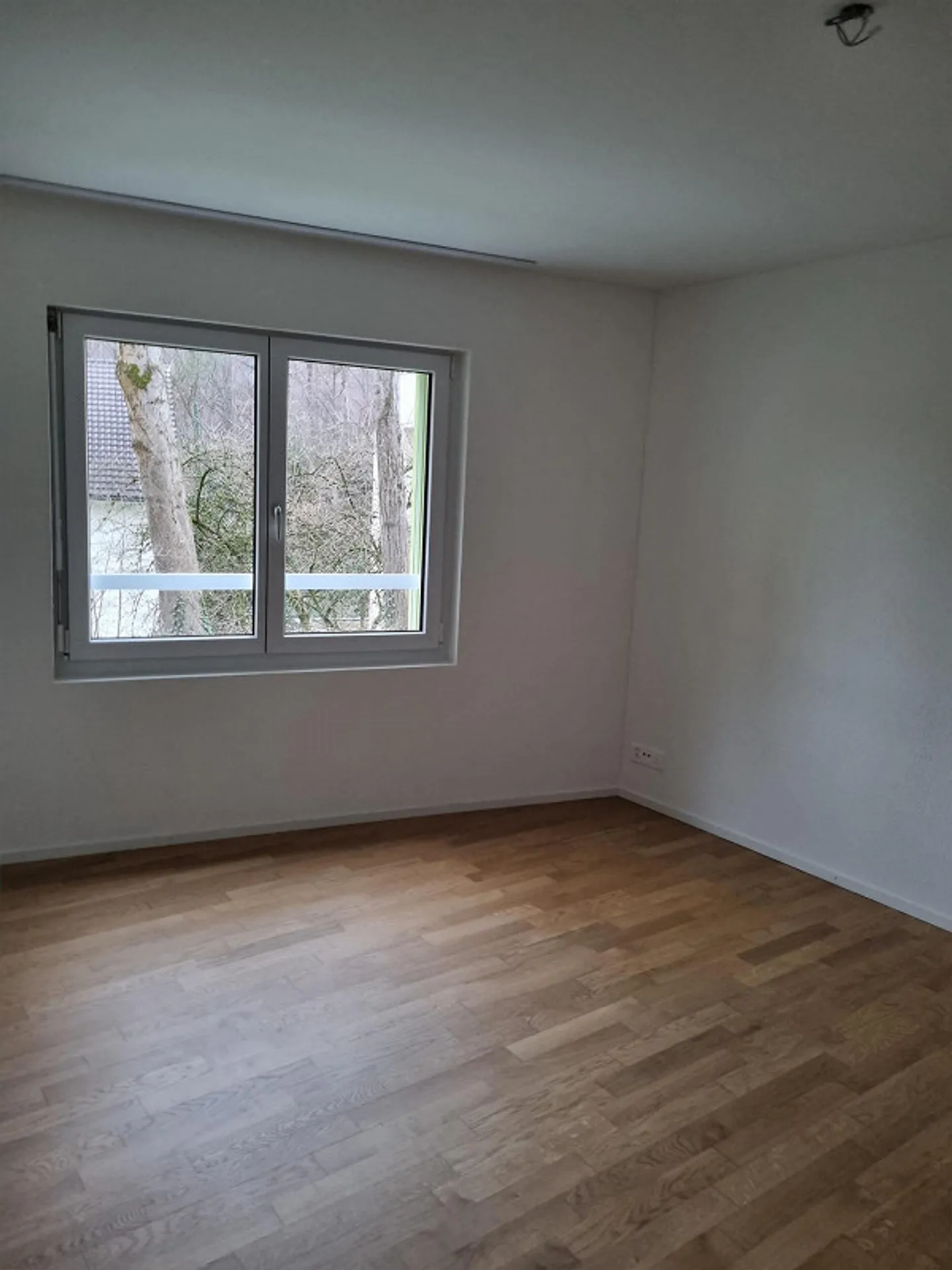 Sunny Garden Apartment in a Quiet Location - Photo 7 of 15