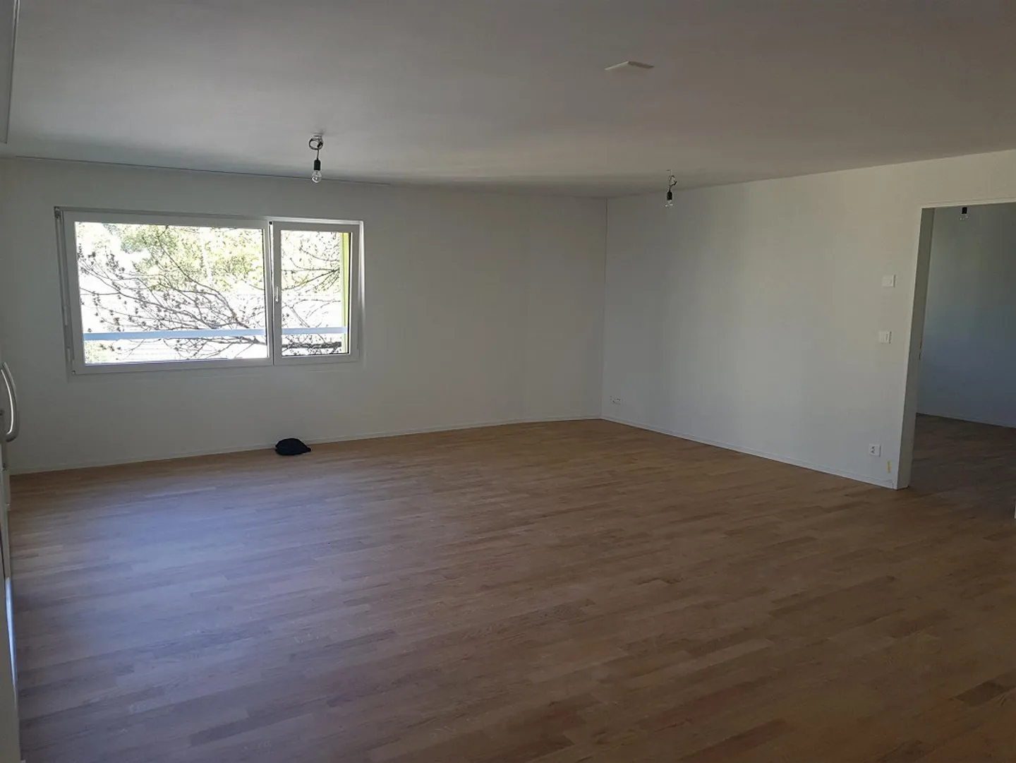 Sunny Garden Apartment in a Quiet Location - Photo 5 of 15