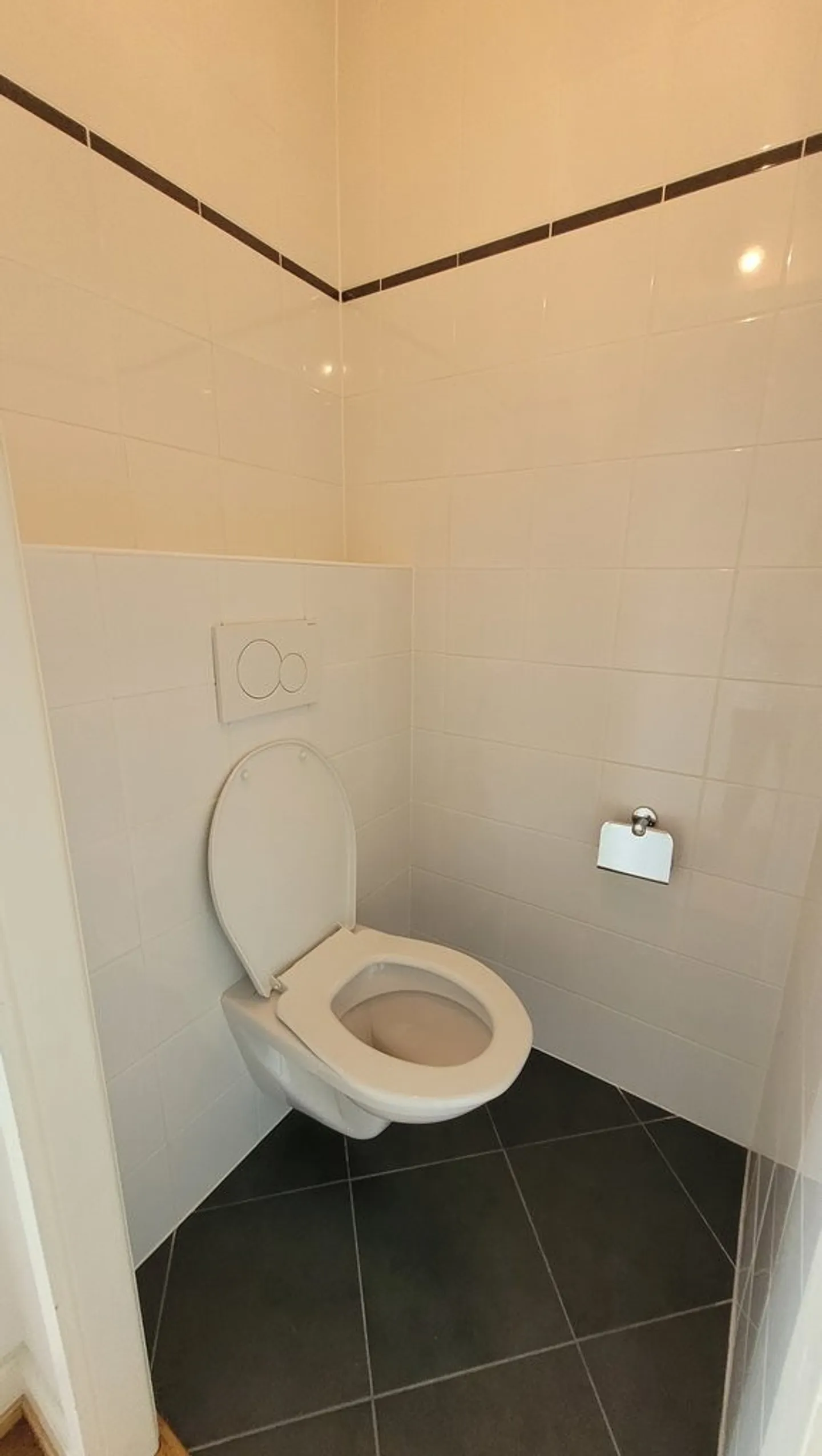 To seize! Magnificent apartment close to downtown Geneva! - Photo 6 of 6