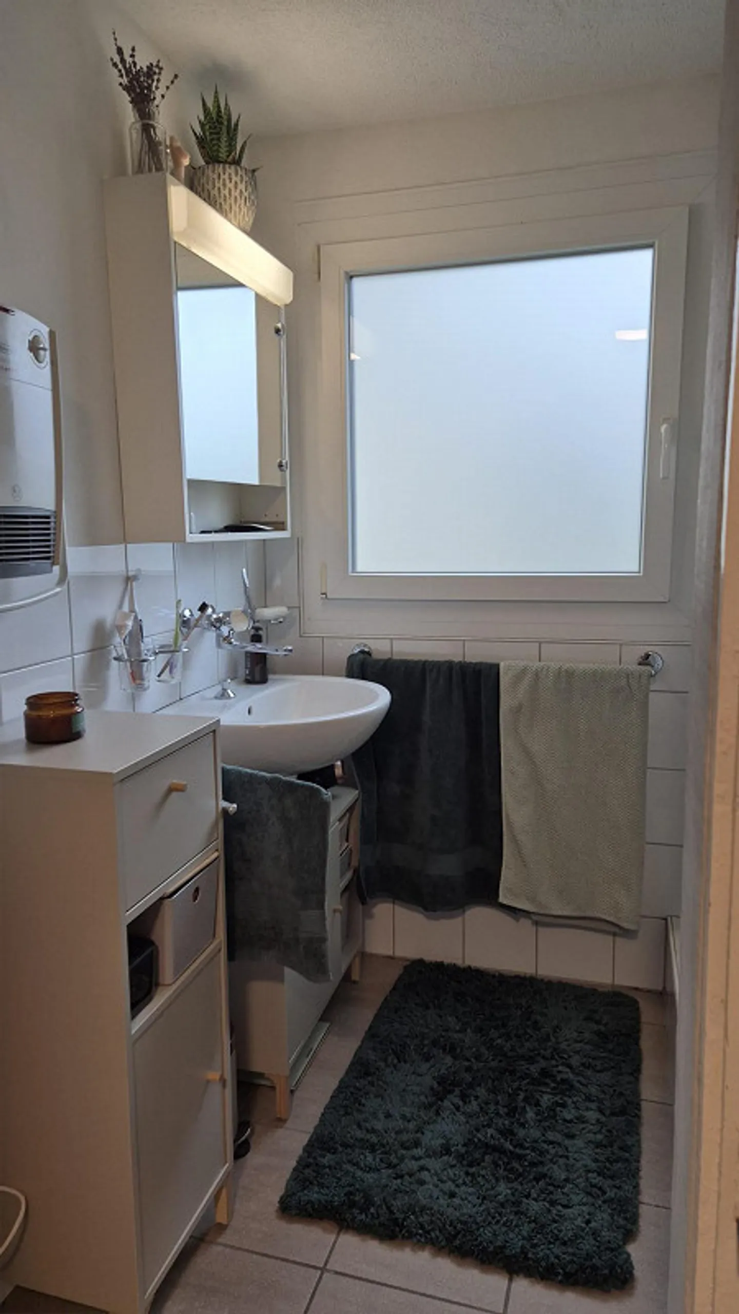 Appartement rénové de 2 pièces près du Rhin et de la ville, Feuerthalen - Photo 7 sur 7