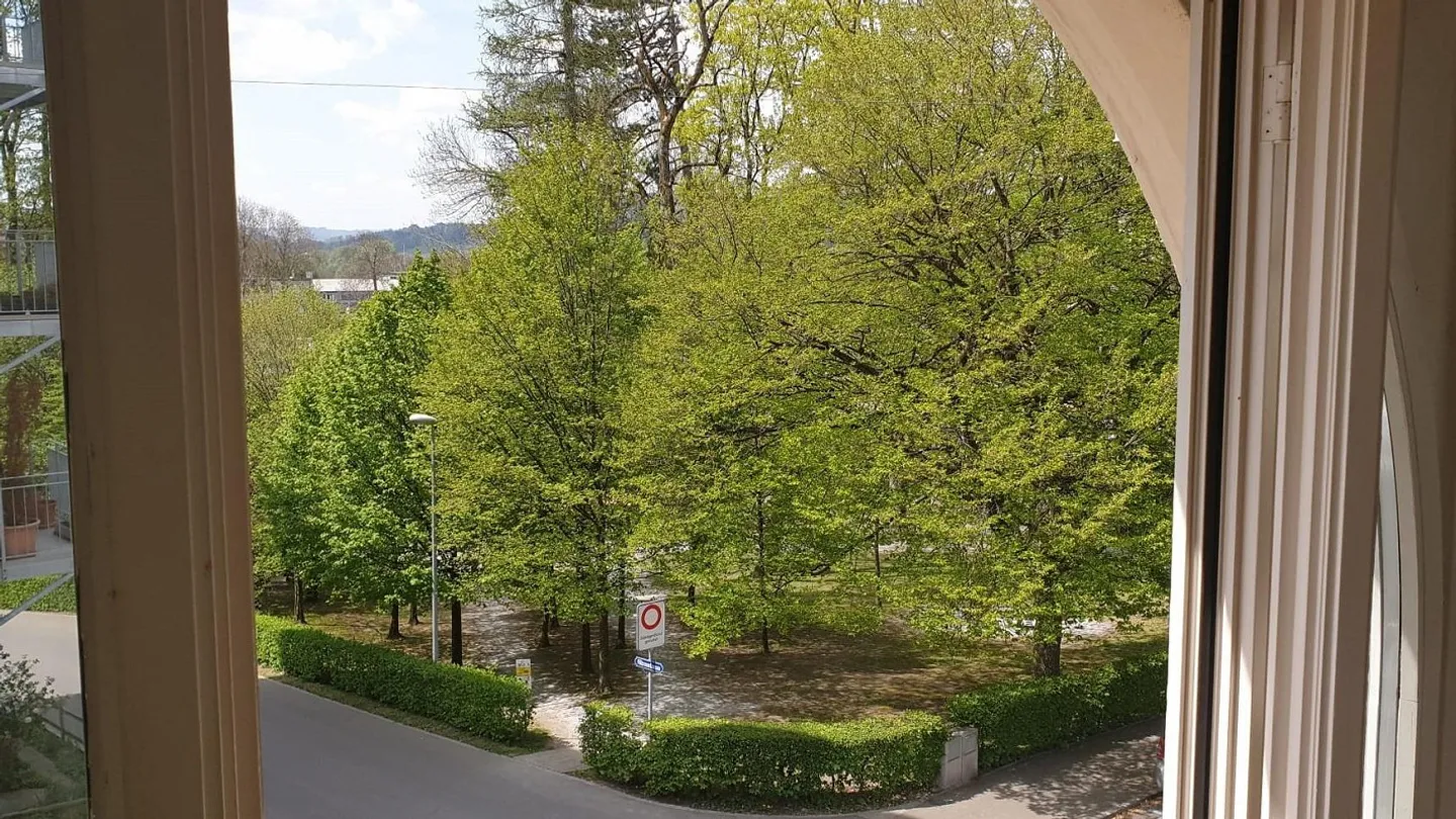 Quiet 4.5 Room City Apartment with Living Kitchen in the Sömmerli District - Photo 5 of 14