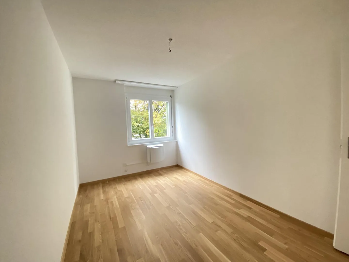 Ambiente familiare e verde - Foto 6 di 7
