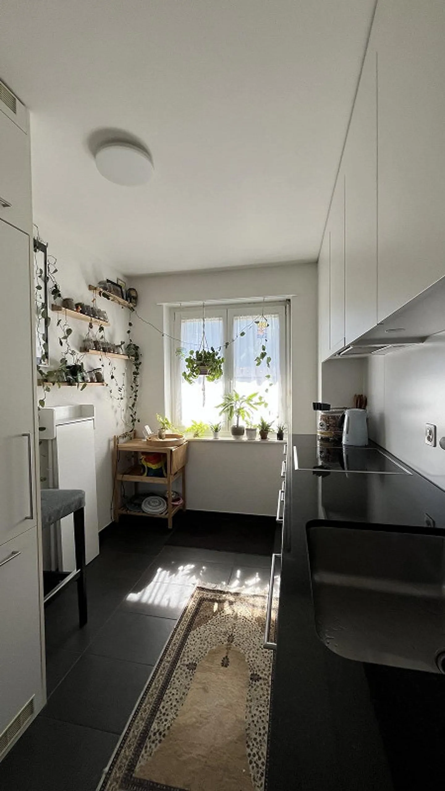 3.5 Room Apartment with Breathtaking Views - Photo 4 of 12
