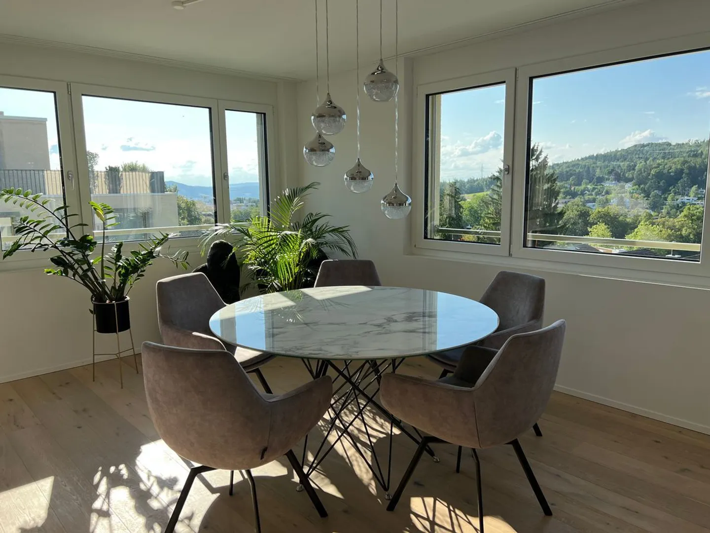 Penthouse meublé - Vue de rêve sur Zurich jusqu'à Uetliberg - comme neuf ! - Photo 2 sur 6
