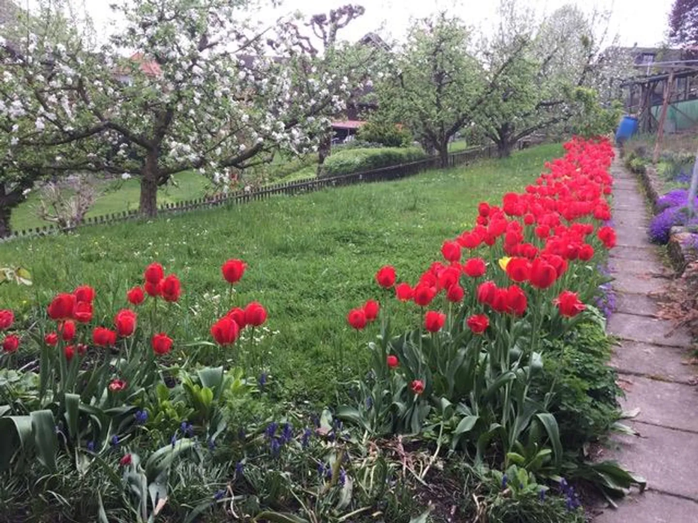 4.5-room single-family house in a quiet, elevated location of Roggwil - Photo 1 of 8