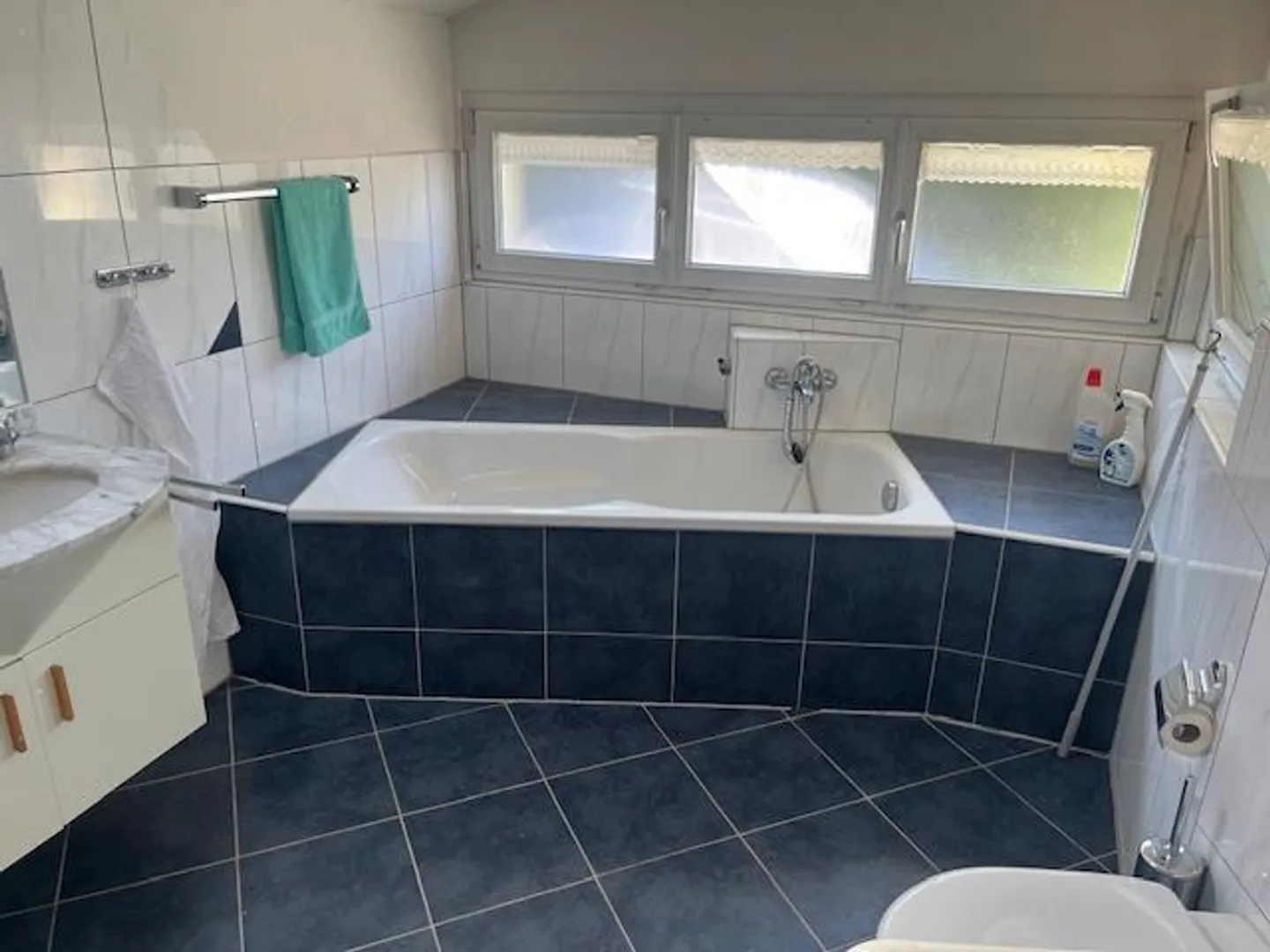 4.5-room single-family house in a quiet, elevated location of Roggwil - Photo 6 of 8