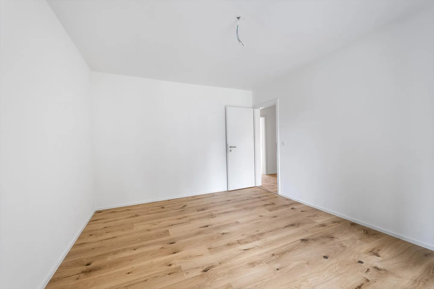 Freshly renovated - Central - Your new home? - Photo 4 of 12