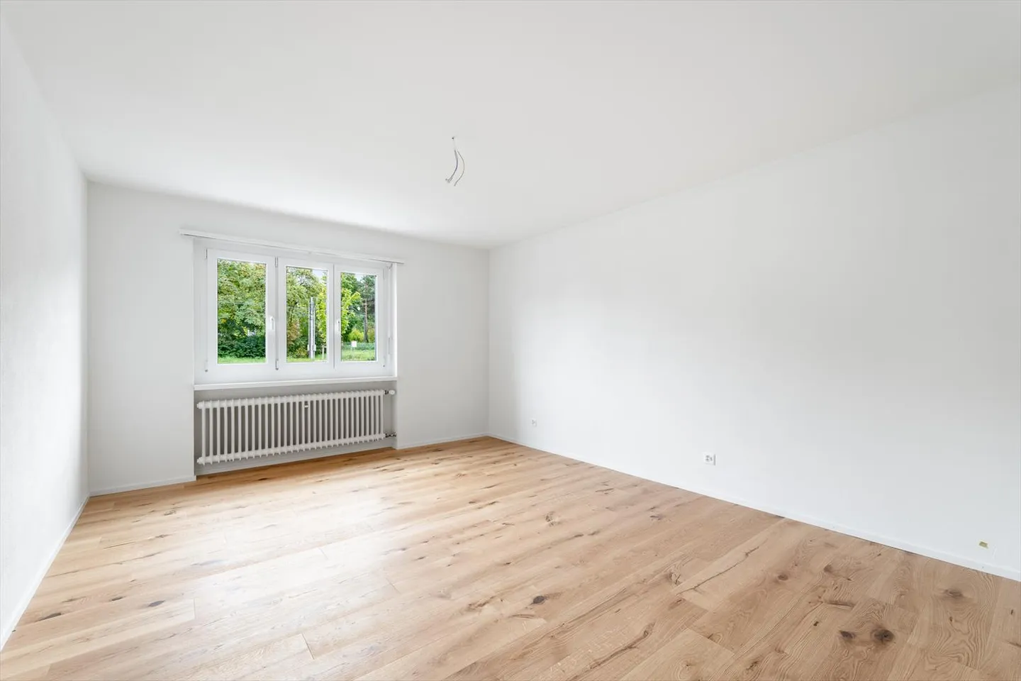 Freshly renovated - Central - Your new home? - Photo 5 of 12