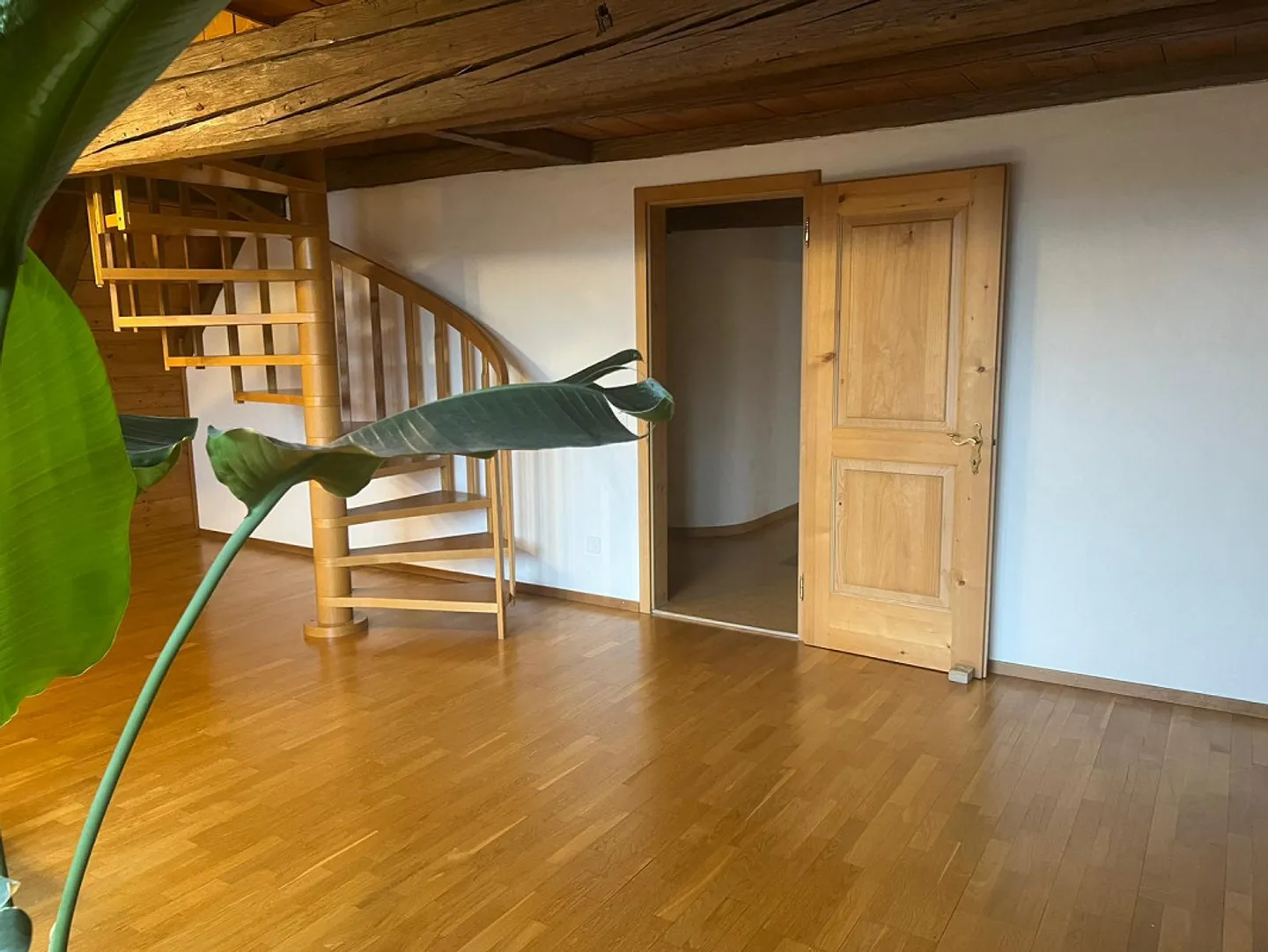 Ampio appartamento mansardato con galleria - Foto 1 di 9