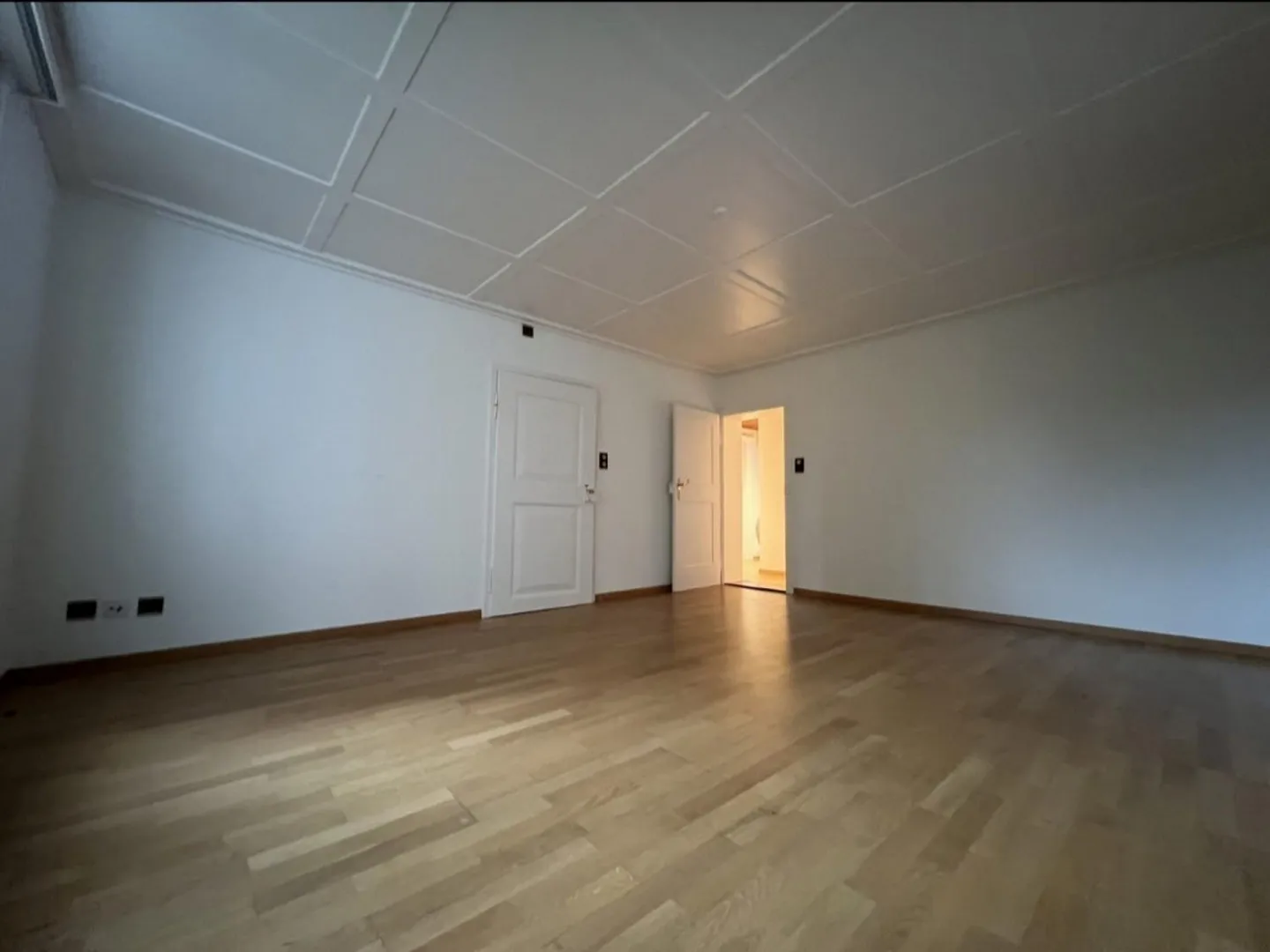 Attractive 4.5-Room Old Building Apartment with Charm - Photo 5 of 14