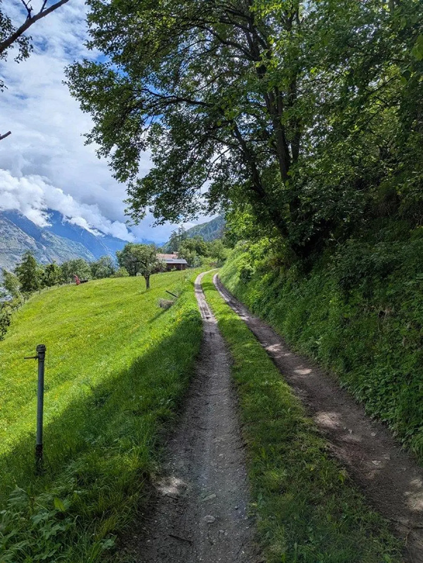 Half House in a Secluded Location with Plenty of Surroundings - Photo 7 of 13