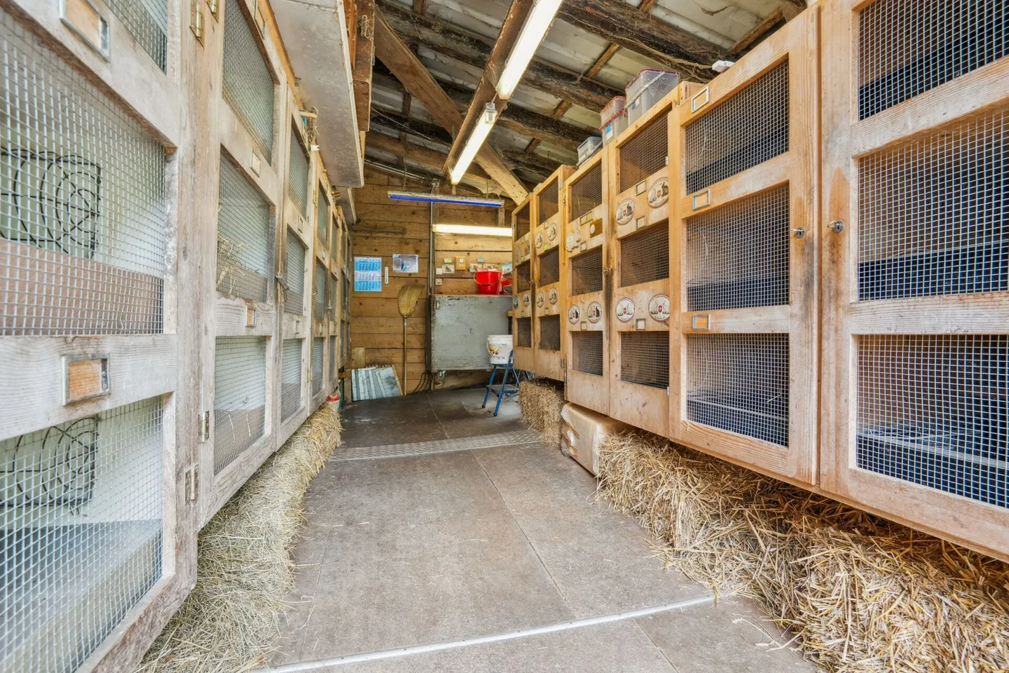 Proprietà equestre conveniente con grande potenziale nel verde idilliaco - Foto 11 di 16