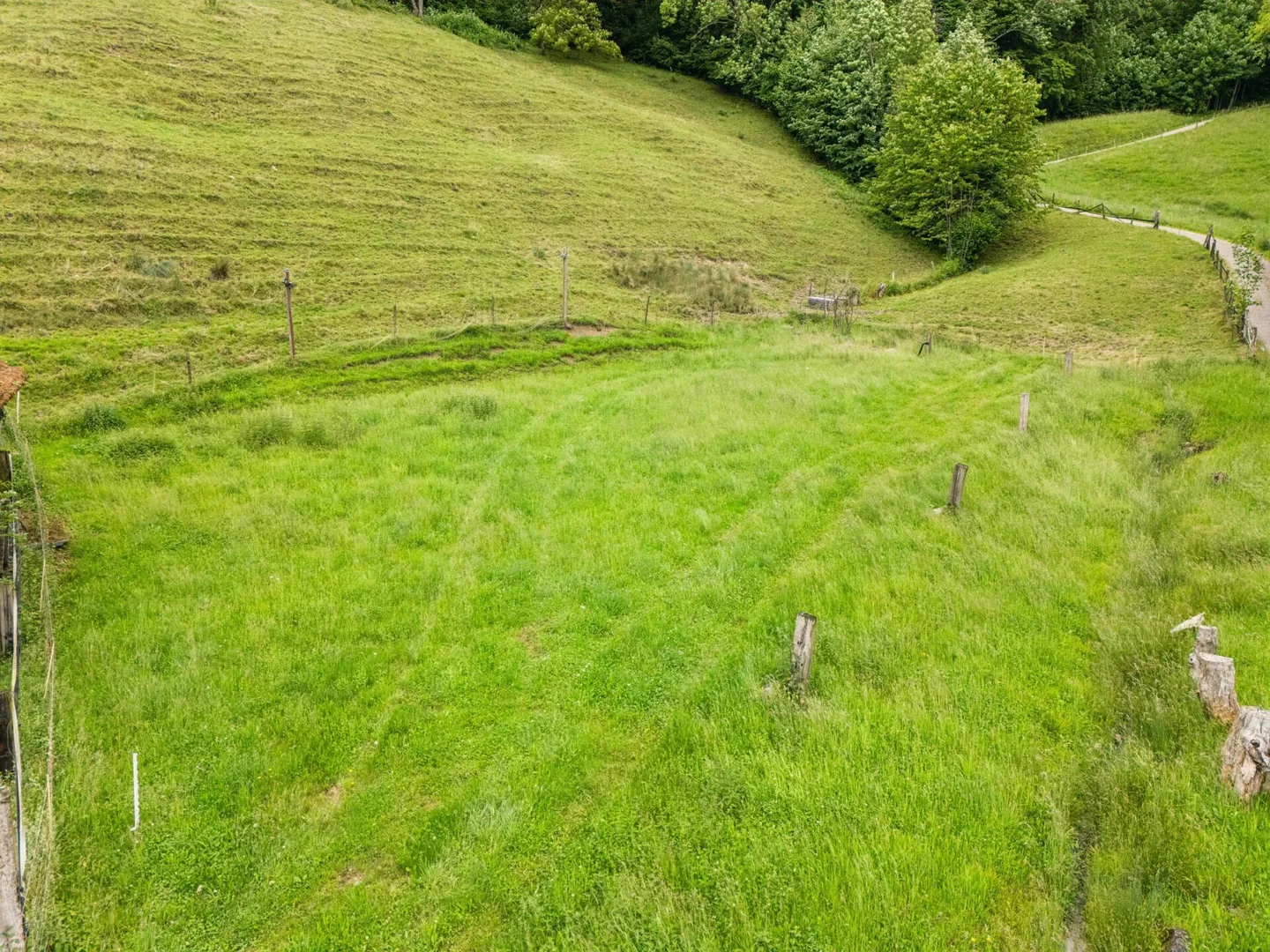 Proprietà equestre conveniente con grande potenziale nel verde idilliaco - Foto 15 di 16
