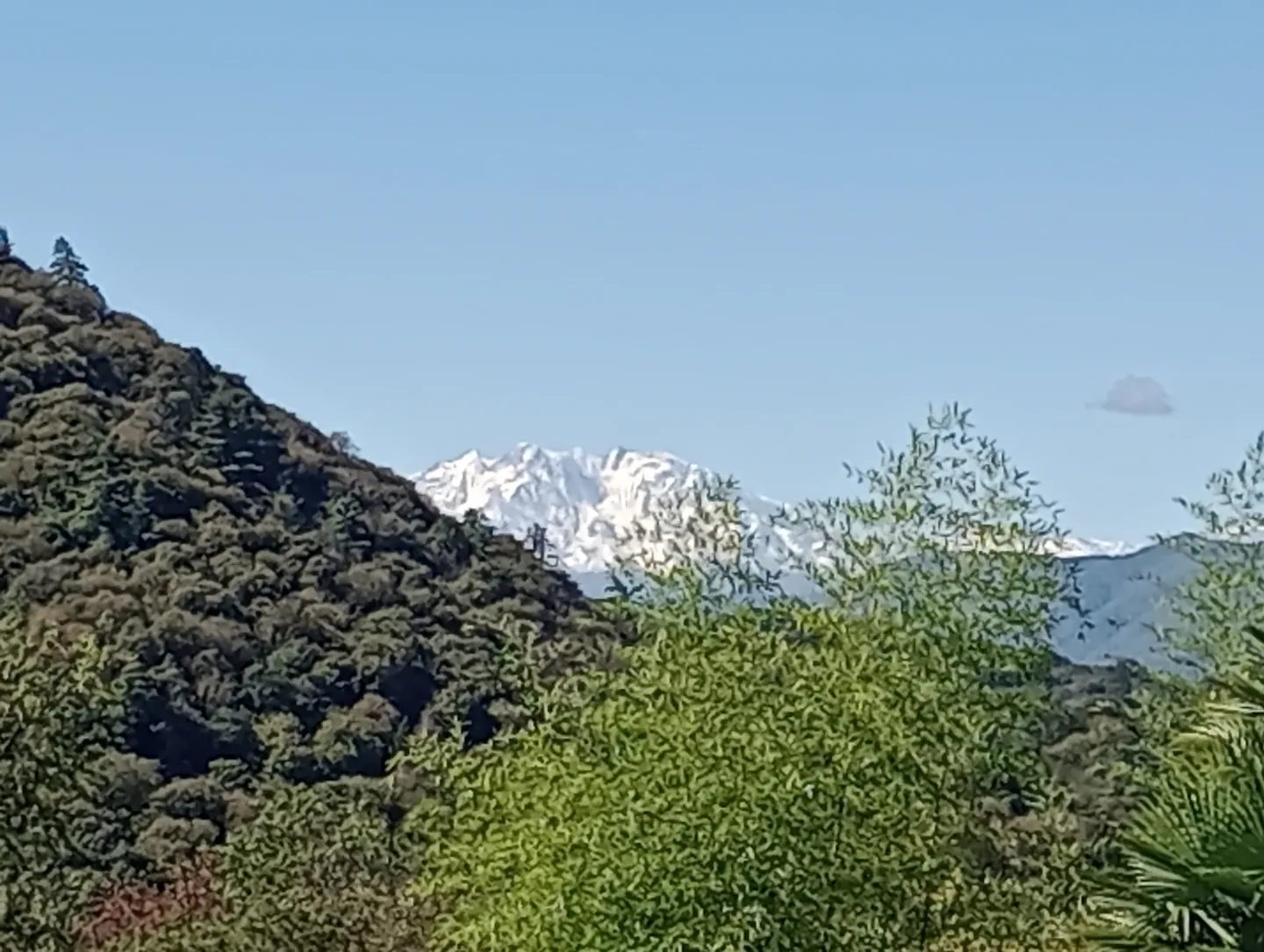 Vivere in modo tranquillo e idilliaco, con vista sulle montagne e sul lago di Lugano - Foto 12 di 13