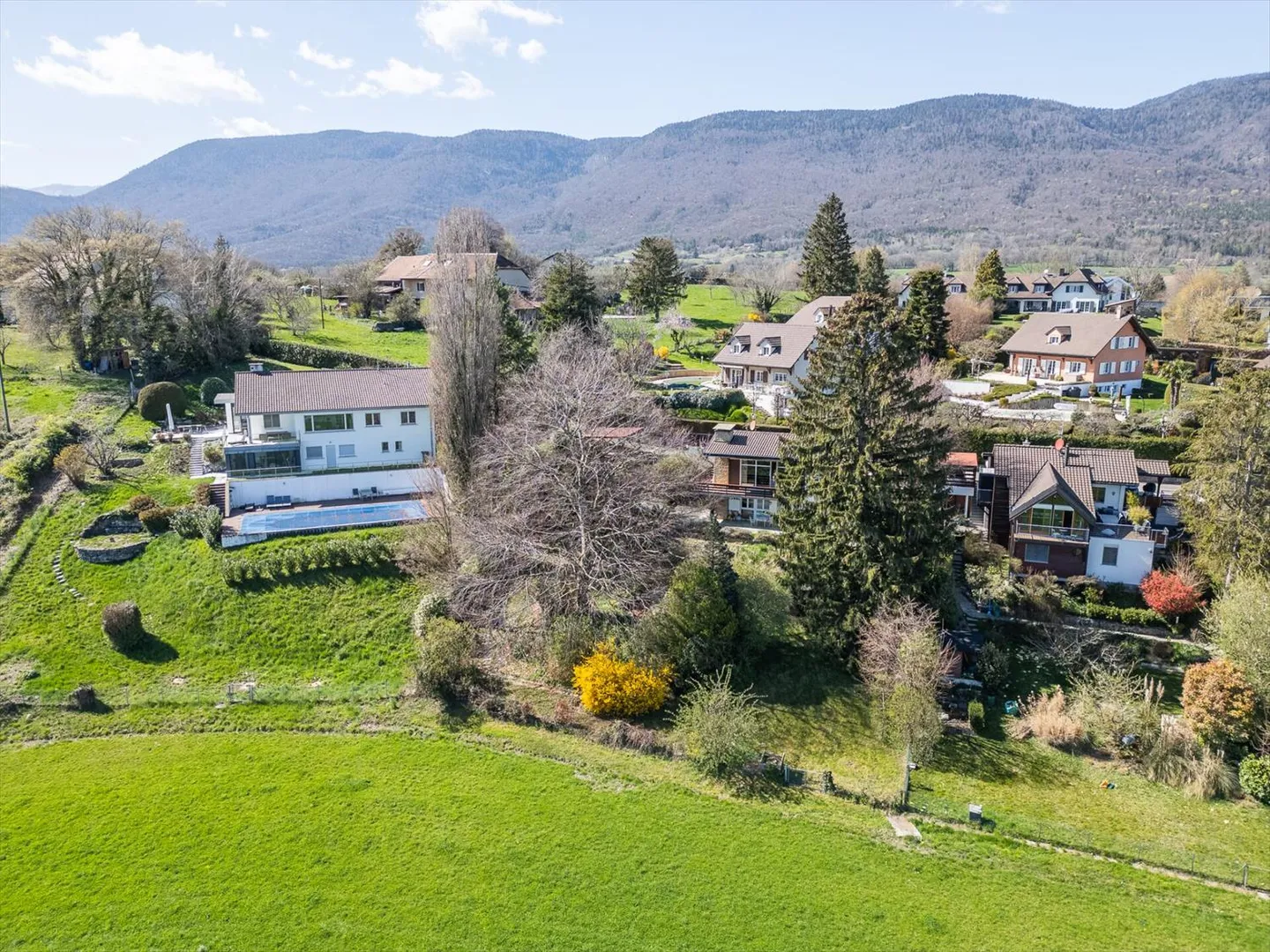 Esclusività: terreno con progetto per investitori o privati - Foto 2 di 9