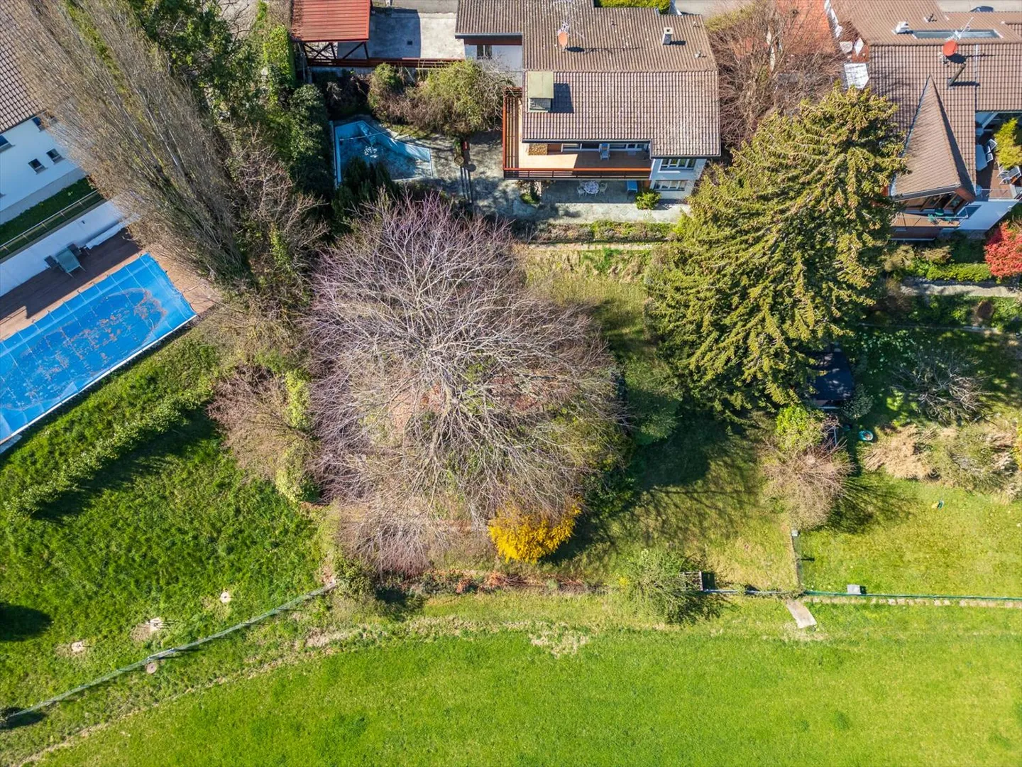 Esclusività: terreno con progetto per investitori o privati - Foto 5 di 9