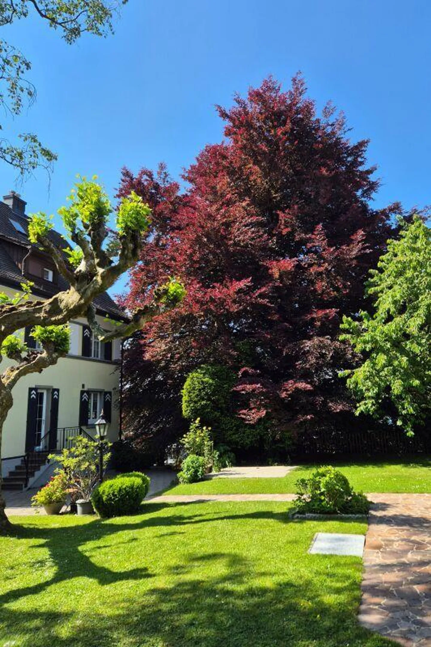 Villa de maître avec un terrain de 2 008 m2 semblable à un parc - Photo 12 sur 13