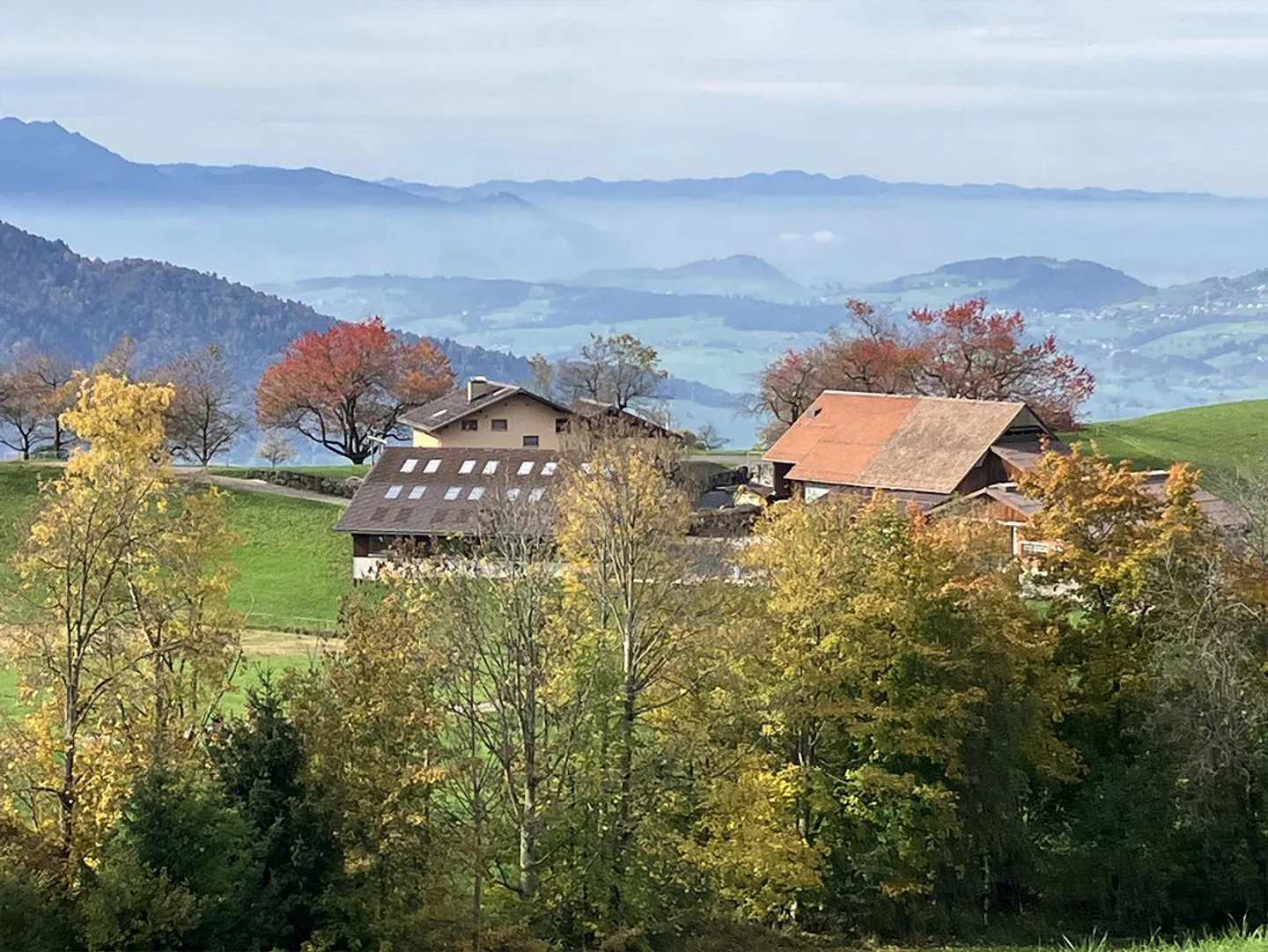 Charmante Wohnung auf dem Bauernhof - Foto 15 von 15