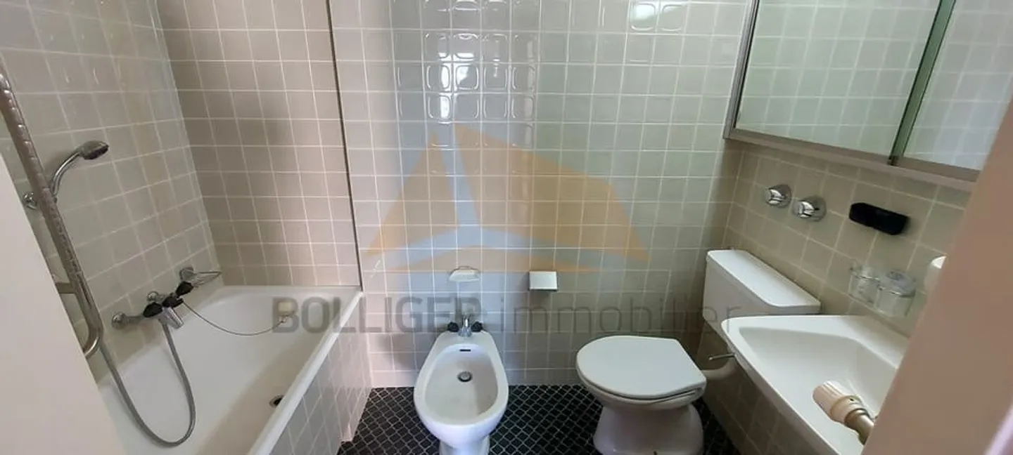 ZU VERKAUFEN 6-ZIMMER-WOHNUNG MIT EINZELGARAGE - Foto 11 von 11