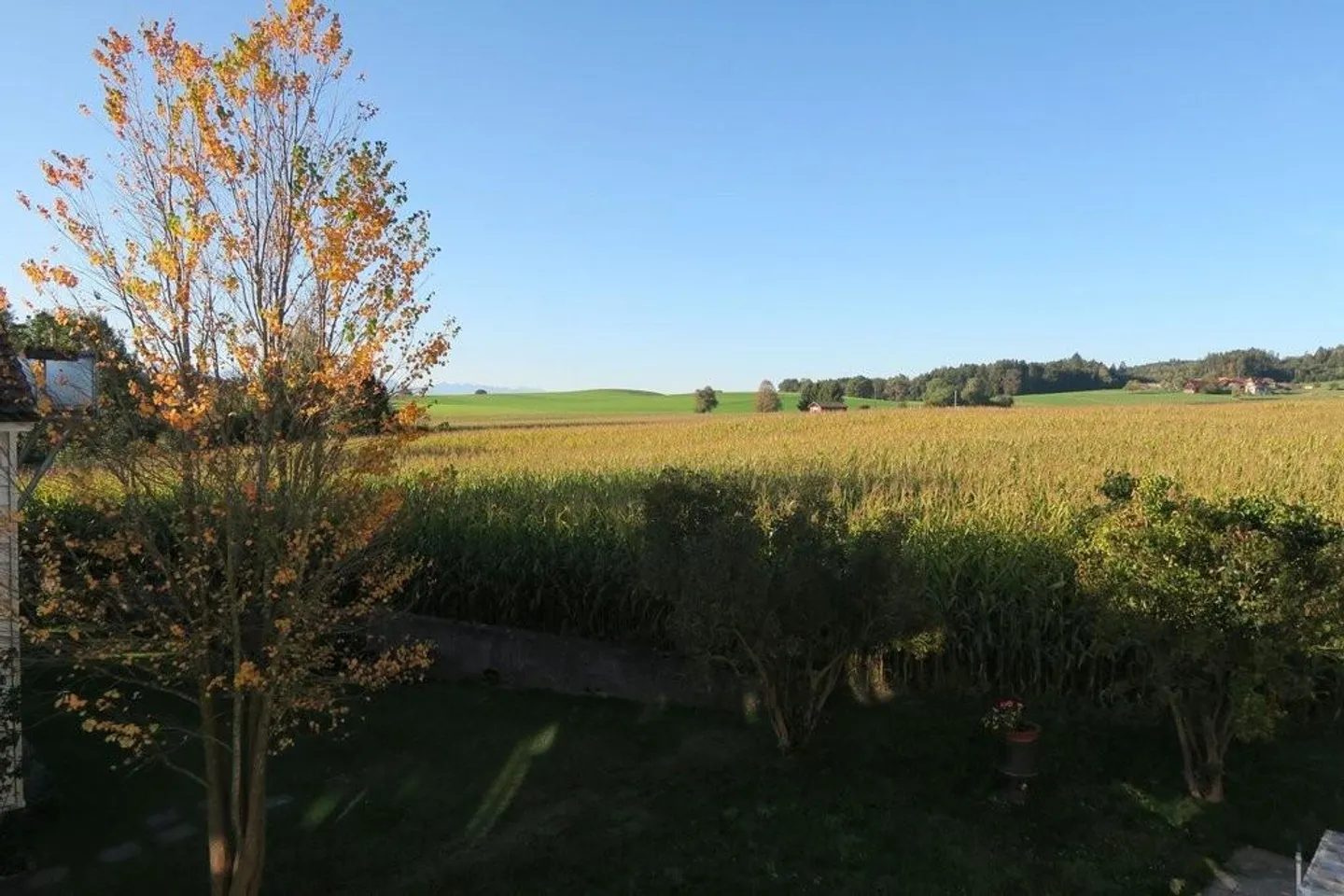 Renovated apartment with green views - Photo 3 of 10