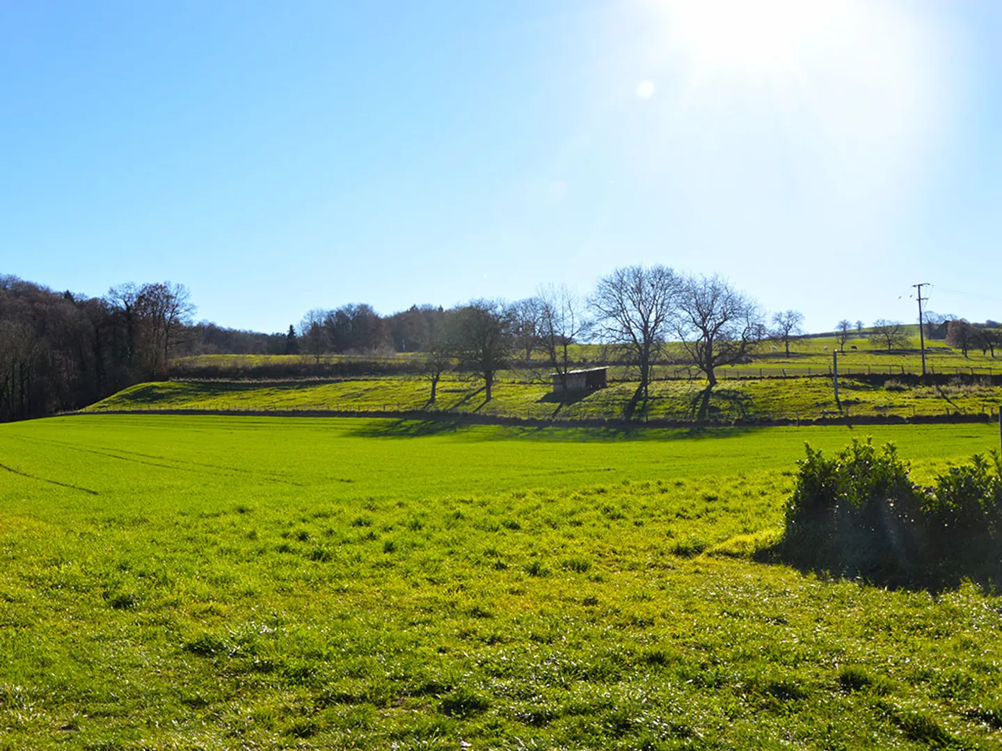 Bauernhof 9 Zimmer - Foto 3 von 3