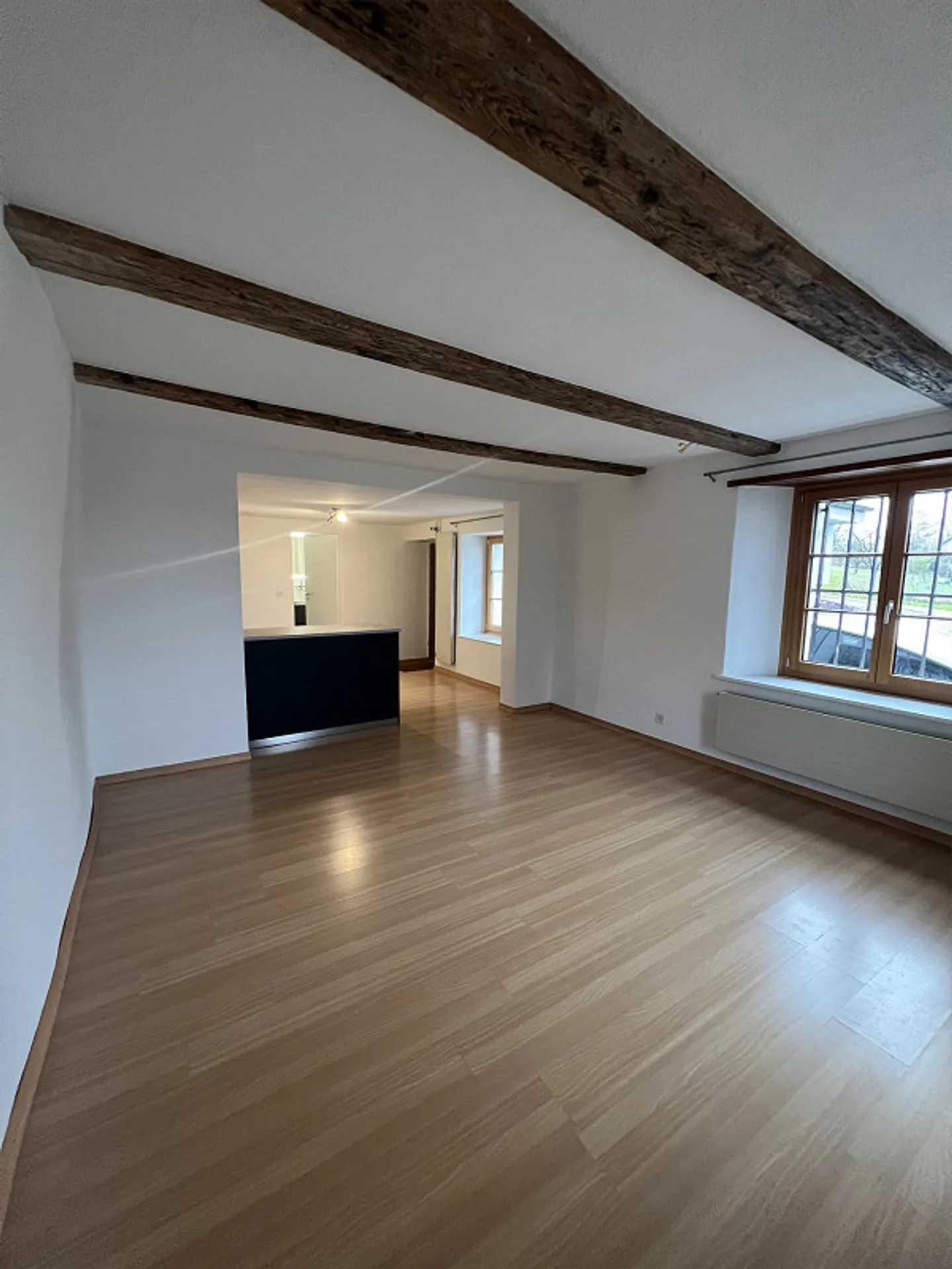 Renovated studio with parking in the green - Photo 4 of 5