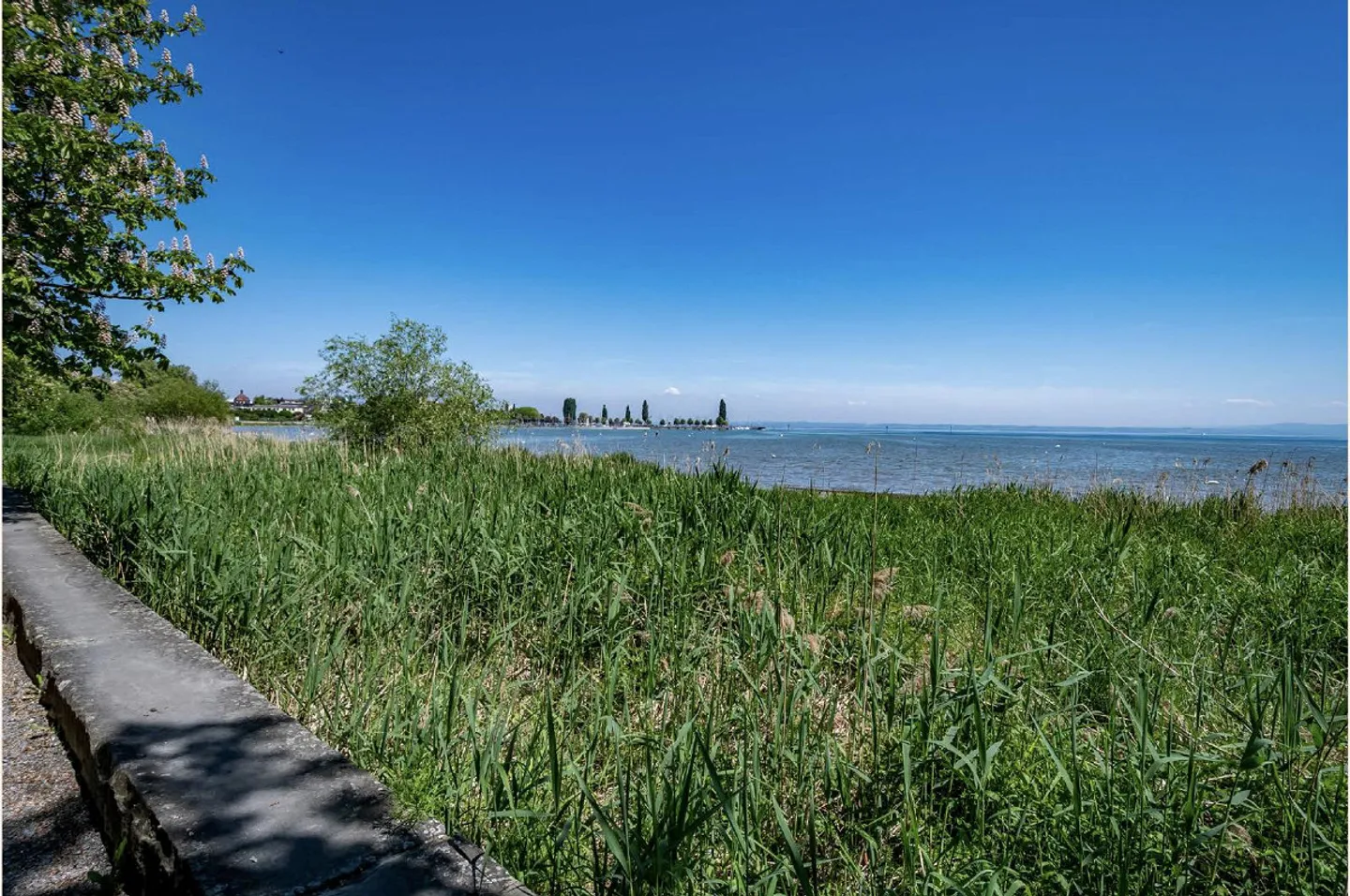 Appartement moderne de 2,5 pièces directement au bord du lac de Constance - Photo 1 sur 4