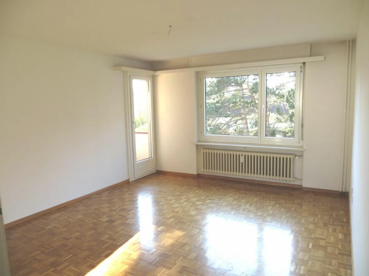 Living in a sunny location - Photo 2 of 9