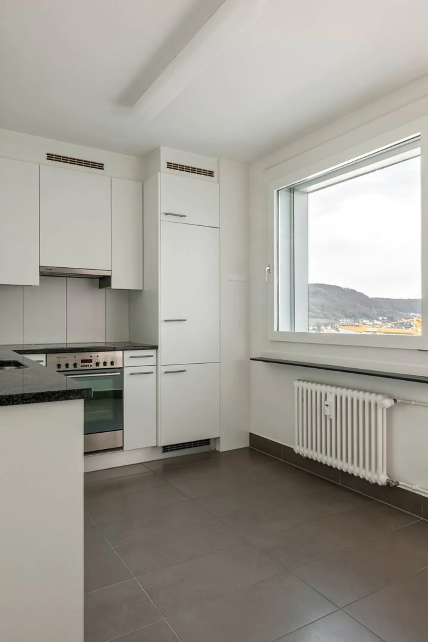 Vue panoramique magnifique sur Birsfelden recherchée - Photo 3 sur 9