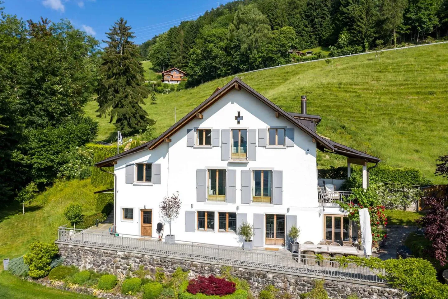 Splendida proprietà individuale a Chamby, Montreux - Foto 7 di 13