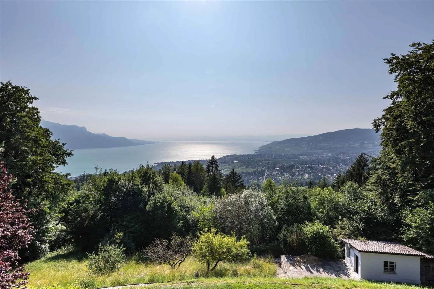 Splendida proprietà individuale a Chamby, Montreux - Foto 10 di 13