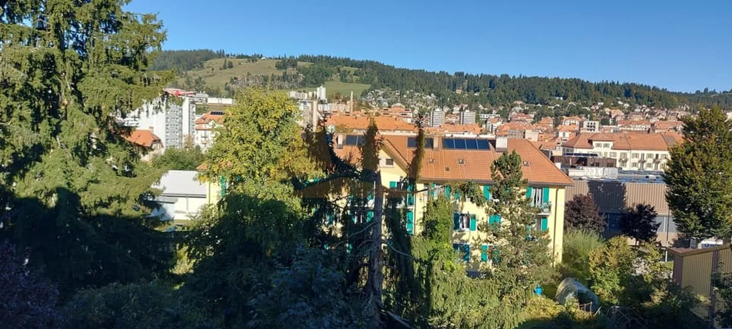 ZU VERKAUFEN 4,5-ZIMMER-WOHNUNG MIT BALKON UND GARAGE - Foto 8 von 10