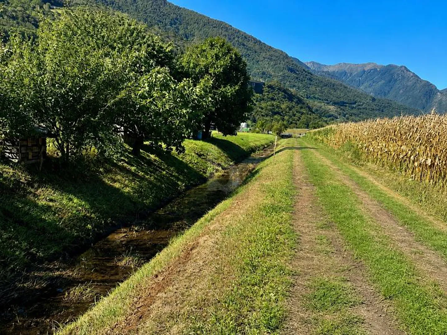 SPACIEUX DANS UN EMPLACEMENT ENSOLEILLÉ ET STRATÉGIQUE - Photo 4 sur 6